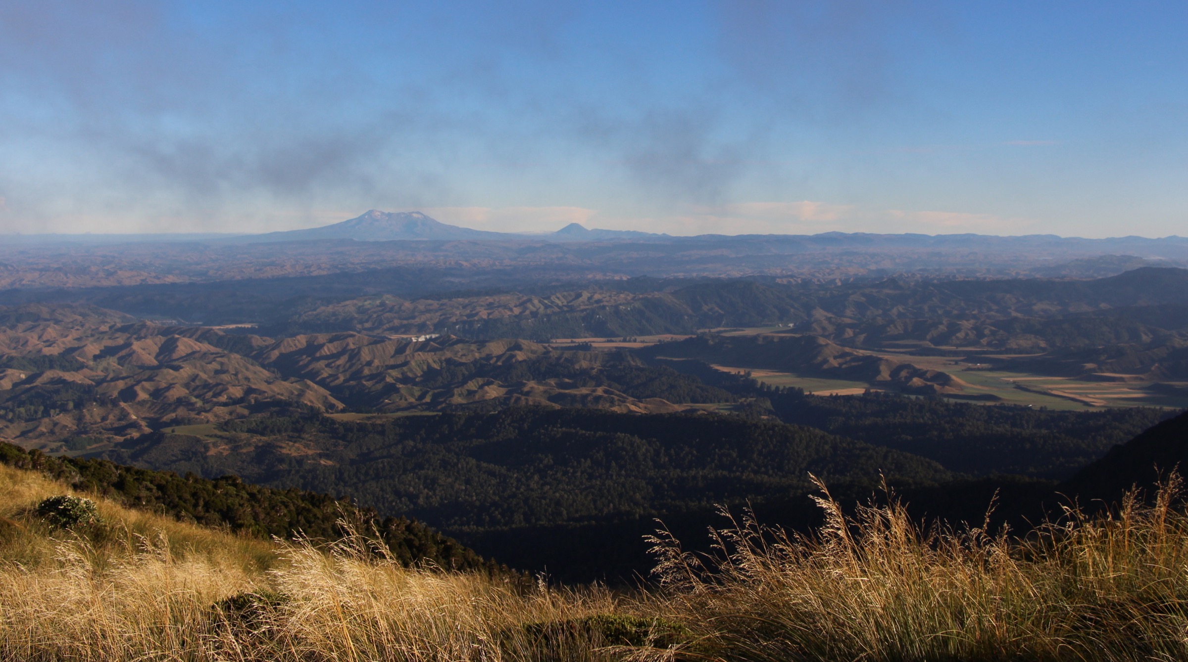 Open Whanahuia Range tops above Rangiwahia in the northern Ruahines, the country reached by the Rangiwahia Hut Track