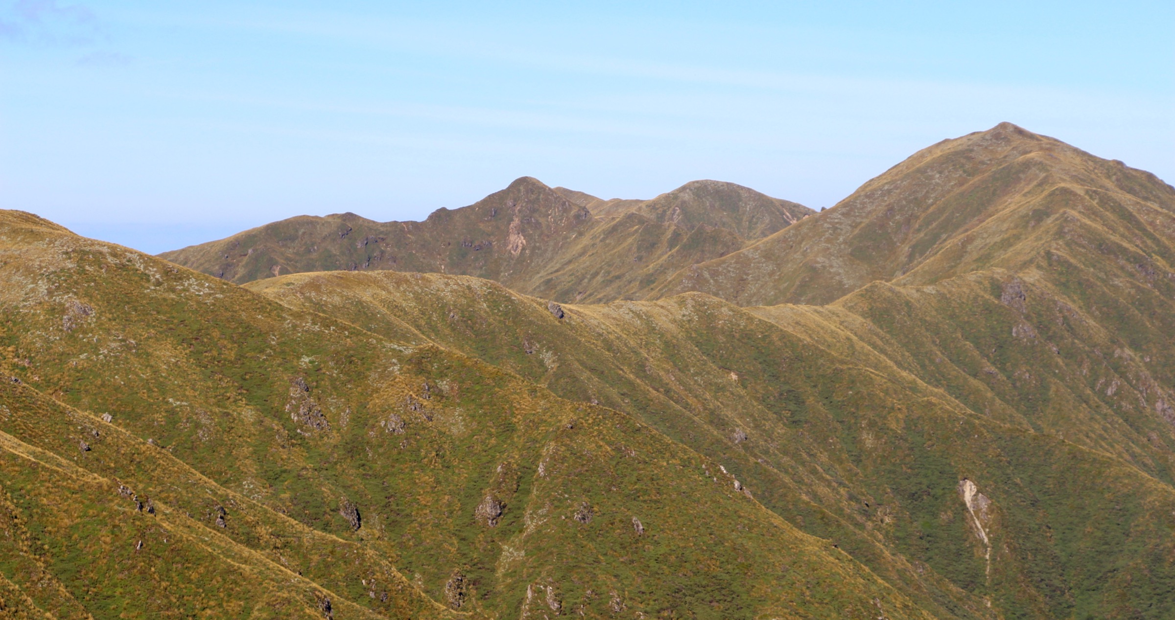 The Iron Gate Hut Track sidling through forest above the Oroua River in the northern Ruahines