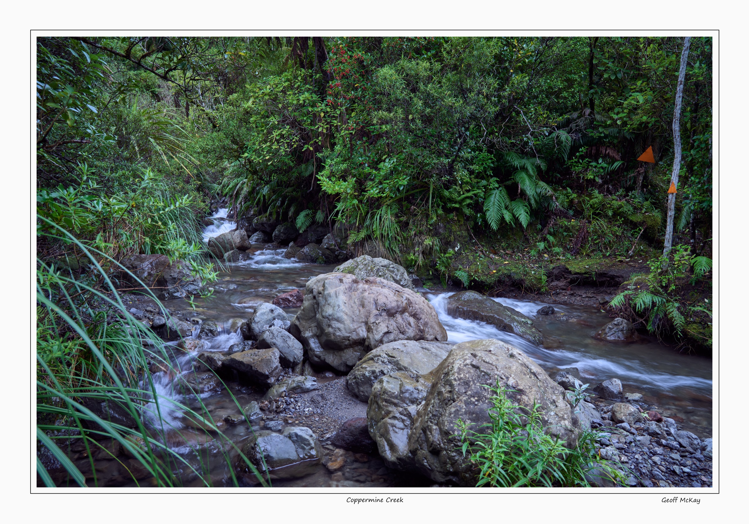 Coppermine Creek in the southern Ruahines above Woodville