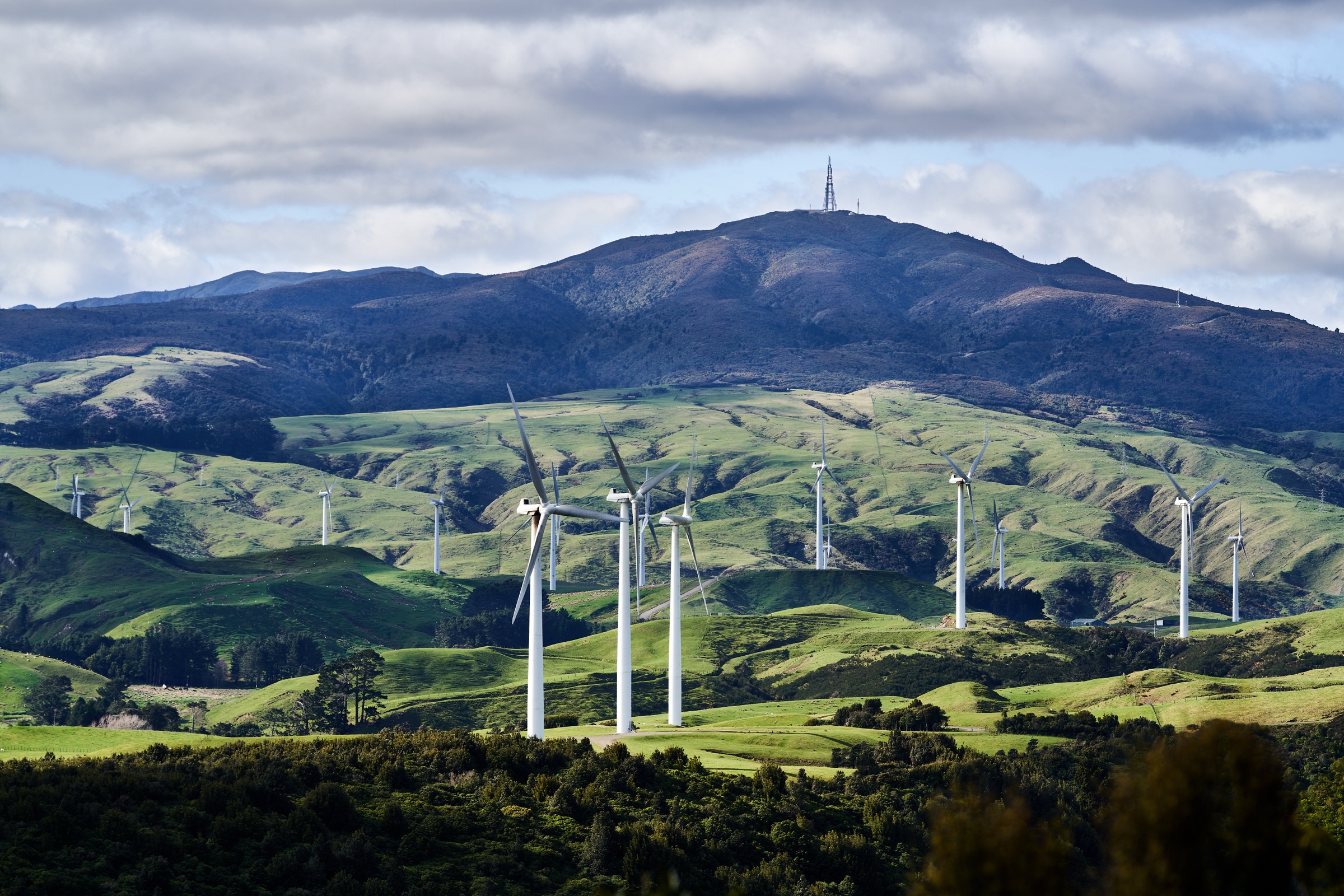 New Zealand — Southern Ruahines: Essential Day-Hikes