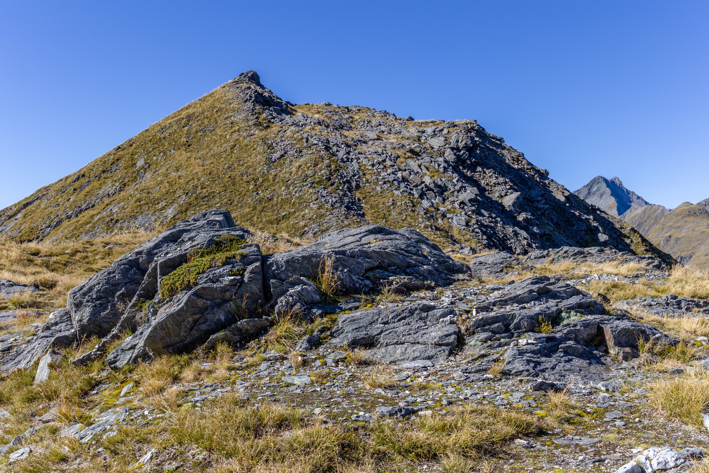 New Zealand — Southern Alps / Aspiring Sector: Young Valley
