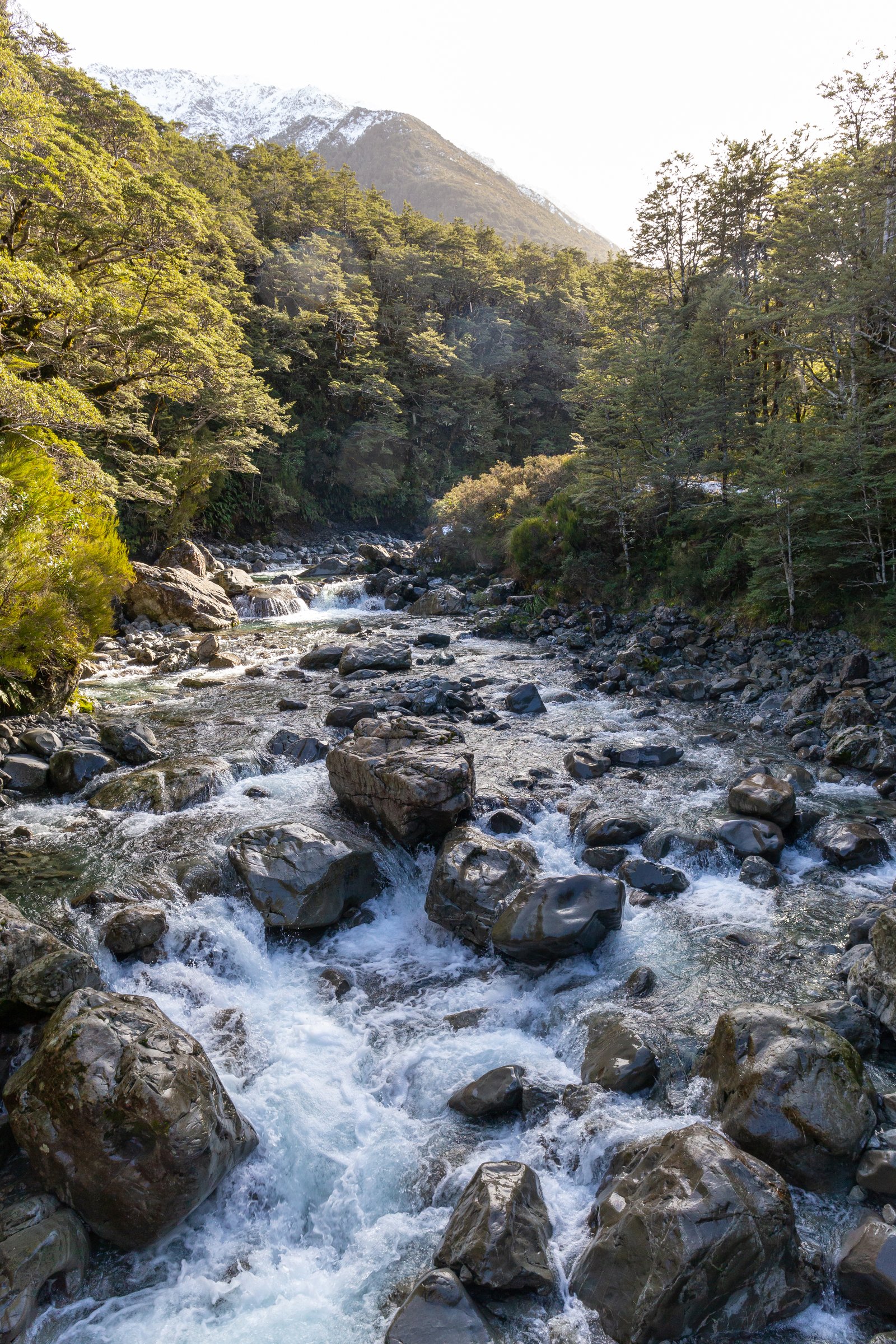Bealey Chasm on the Bealey River, Arthur's Pass