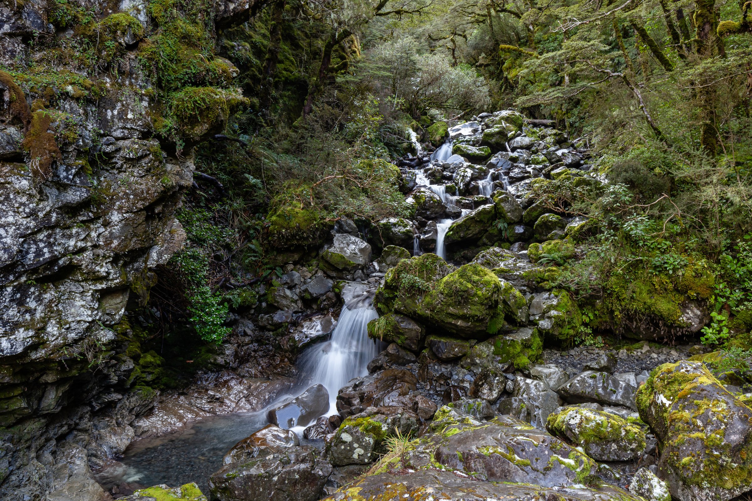 Bridal Veil Creek, Arthur's Pass National Park