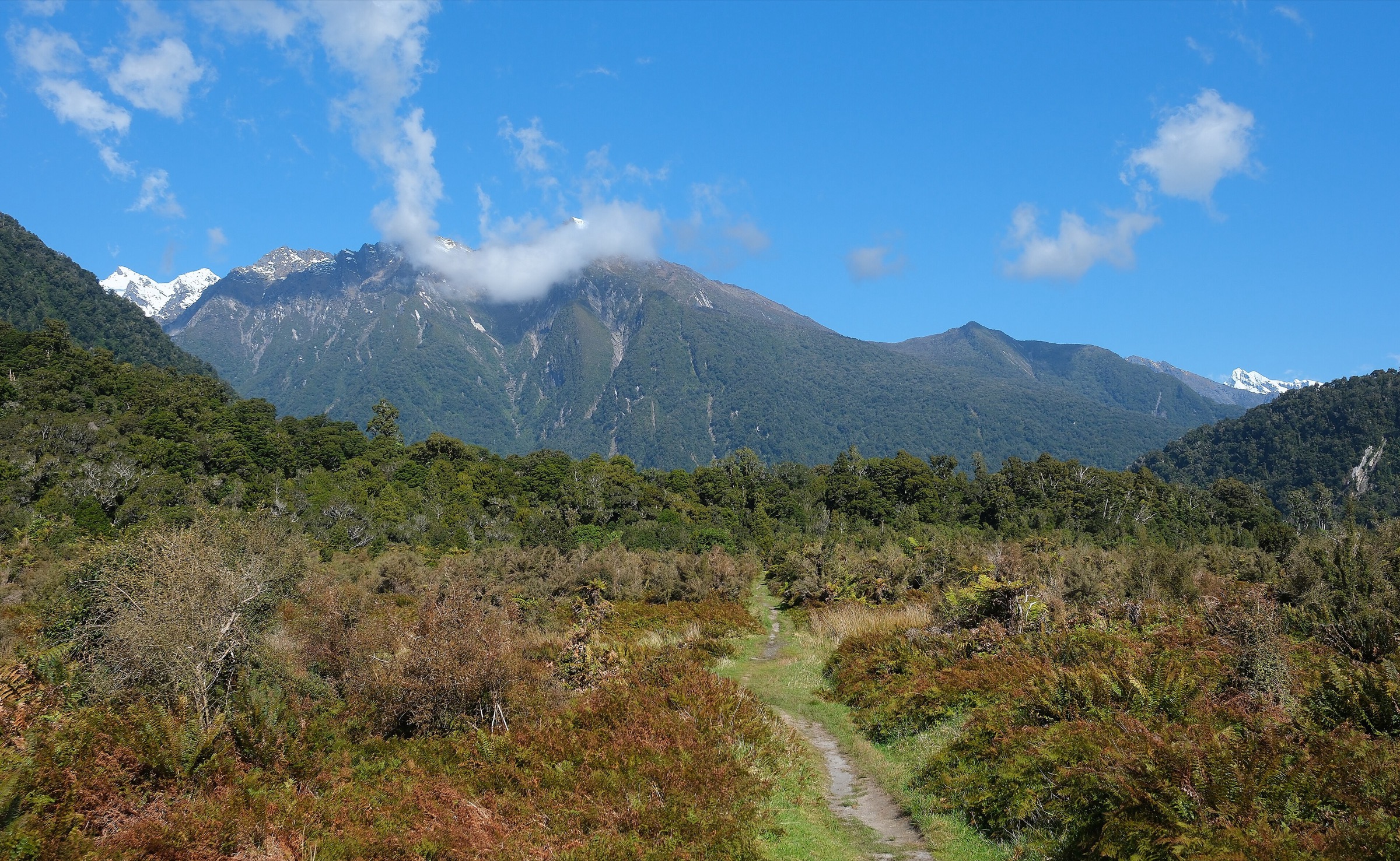 New Zealand — Southern Alps: Welcome Flat & the Copland Track