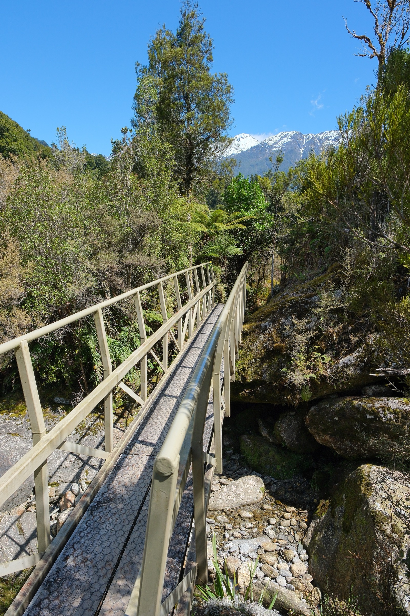 Swing bridge over Kōmarupeka Creek on the Copland Track