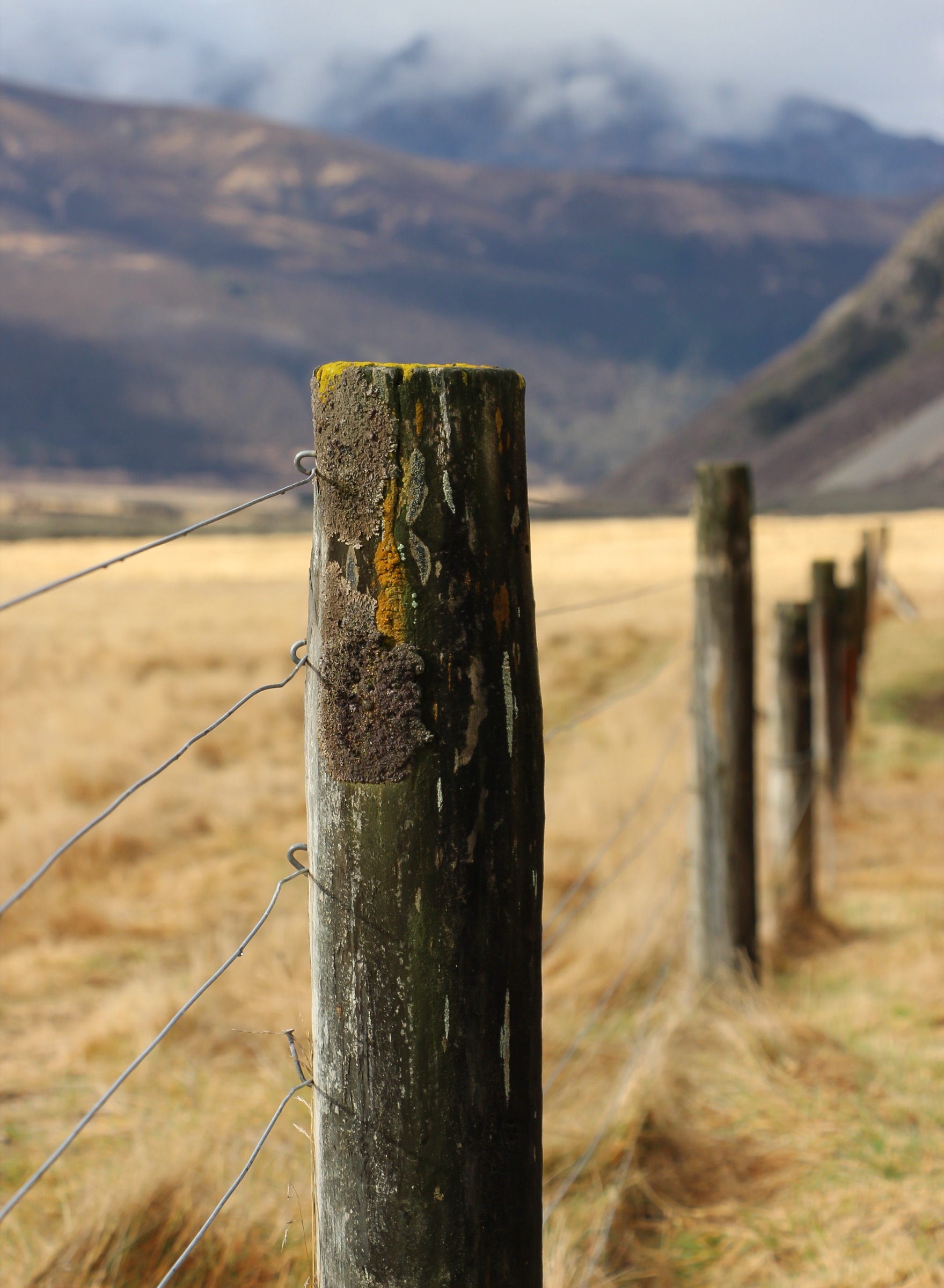 Fence beside Christopher Hut on the St James Walkway, upper Ada valley, New Zealand