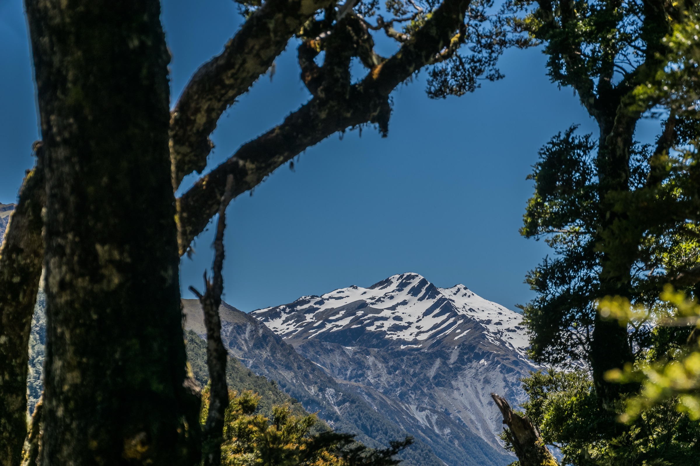 New Zealand — Ada Pass Area: essential day-hikes