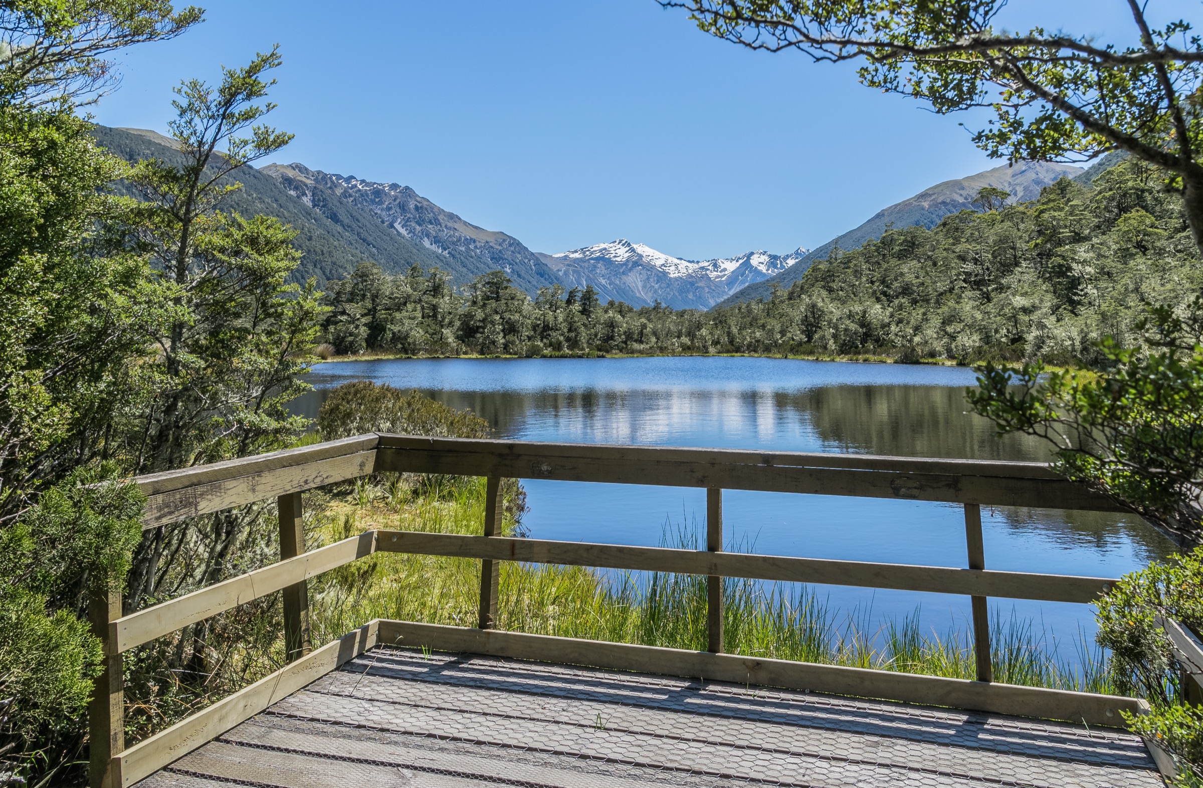 Alpine tarn at Lewis Pass with tussock and beech forest surrounds
