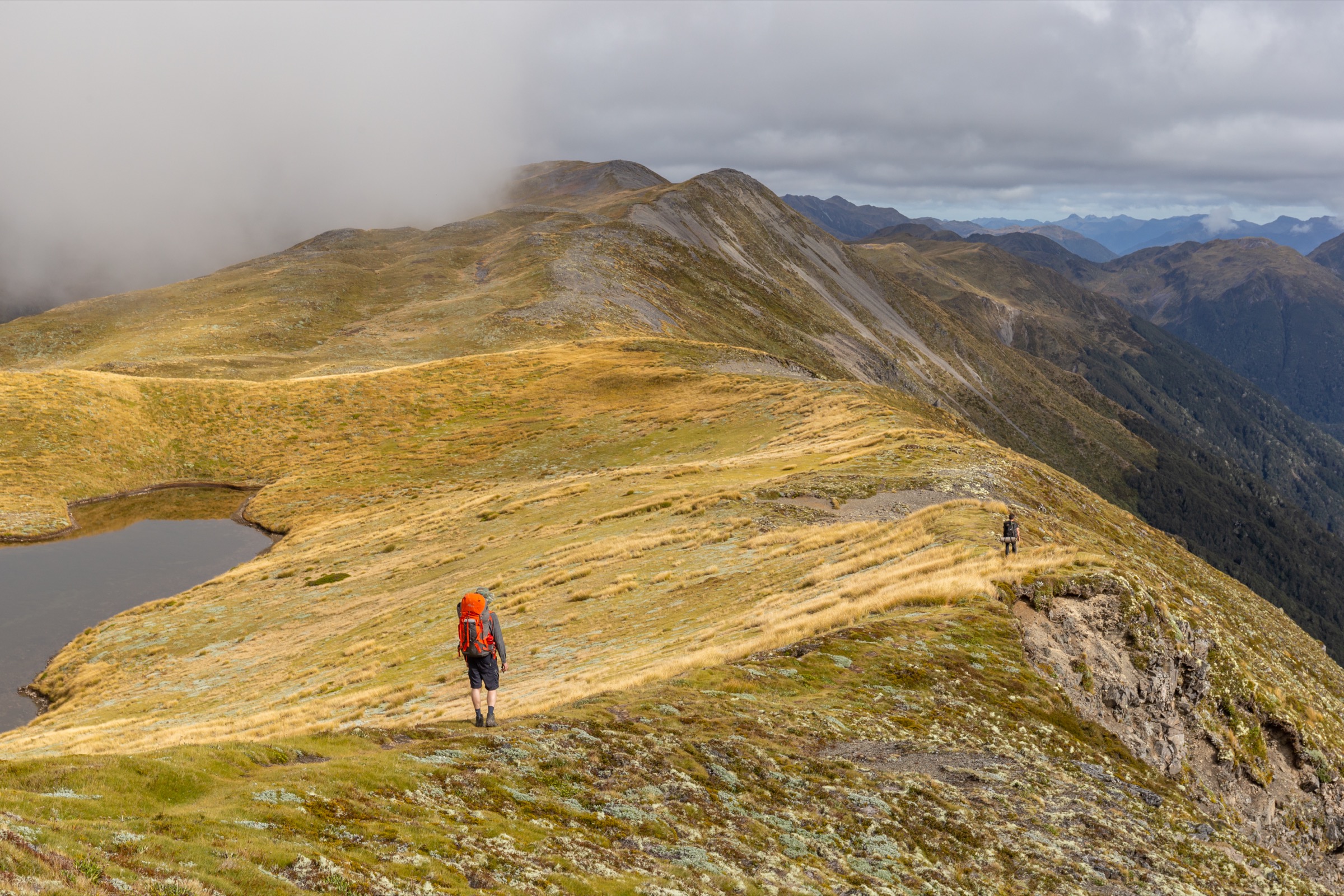New Zealand — Lewis Pass Sector: essential day-hikes