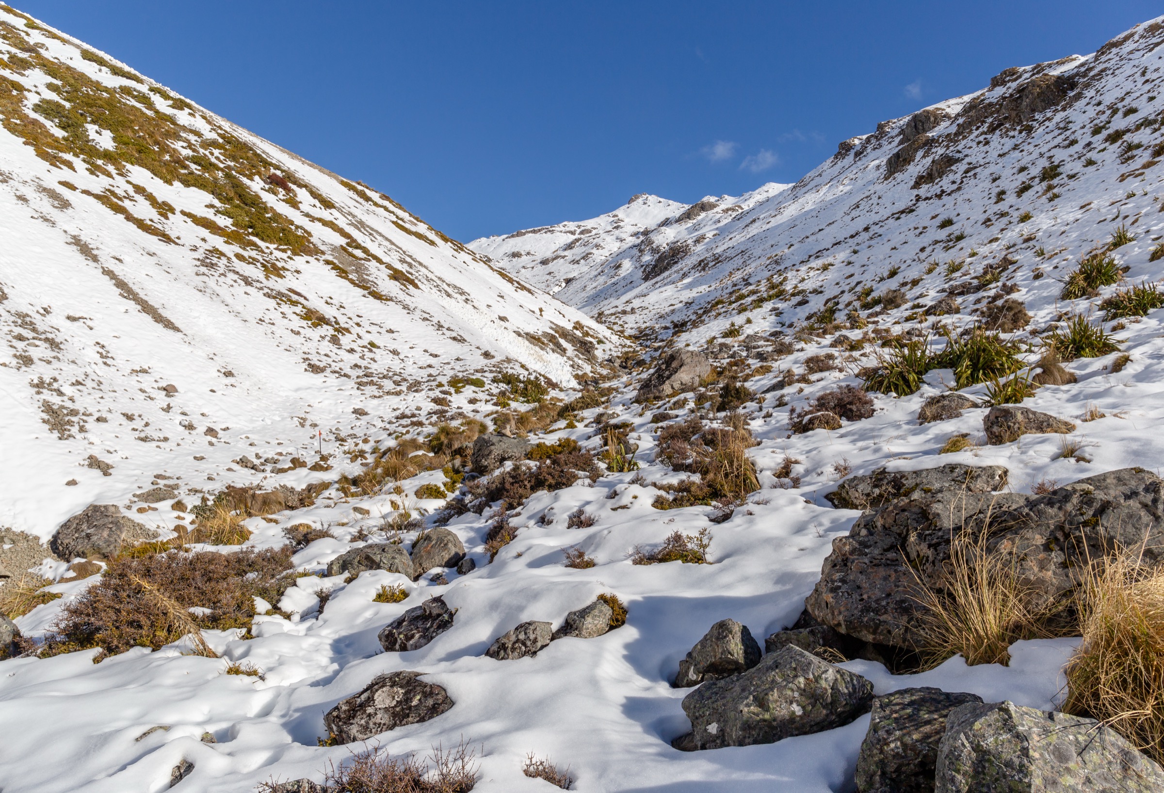 Speargrass Creek Route into the Angelus basin, Nelson Lakes National Park, New Zealand