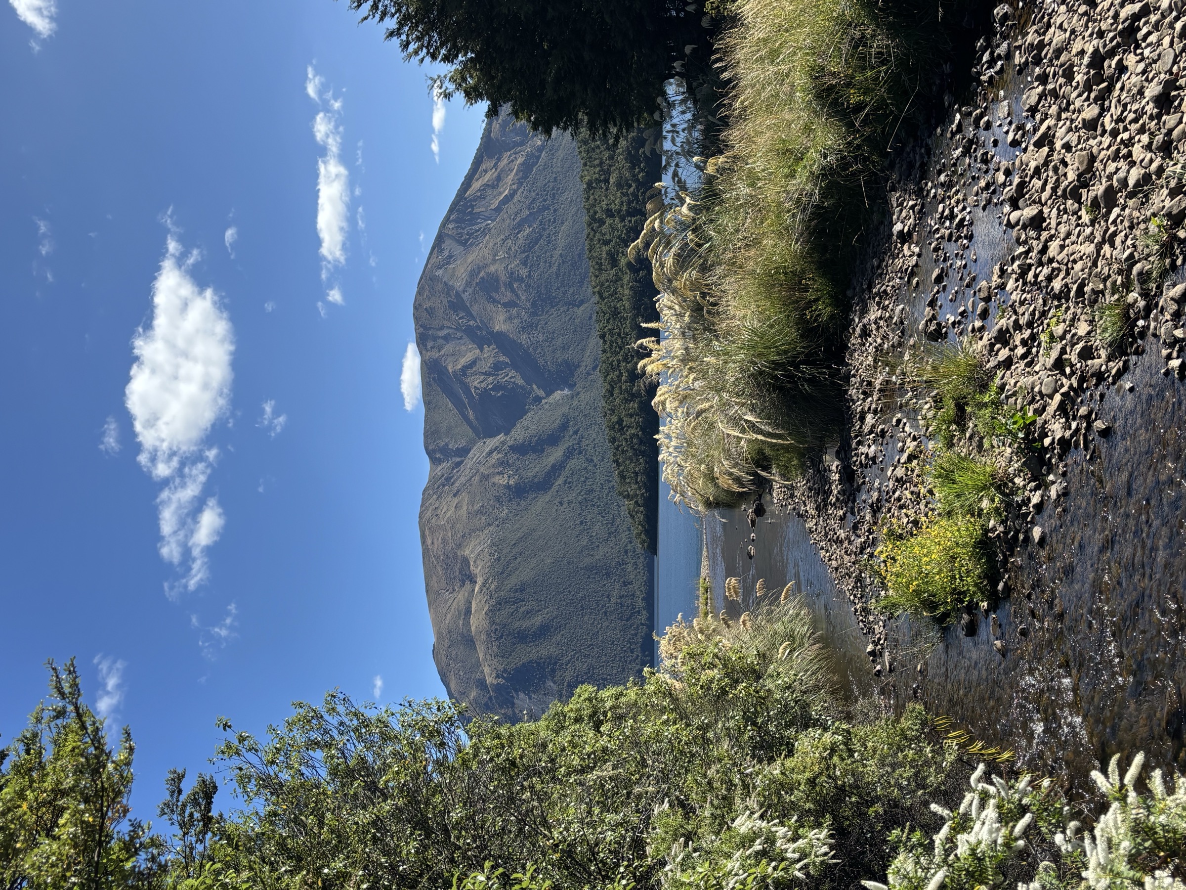 Sub-alpine tops of the Mount Robert Circuit above Lake Rotoiti, Nelson Lakes National Park, New Zealand