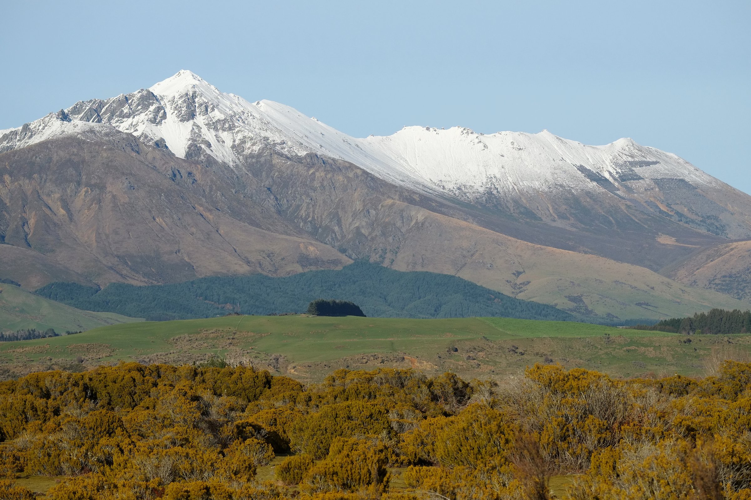 View from Wilderness Reserve to Excelsior Peak, Takitimu Mountains