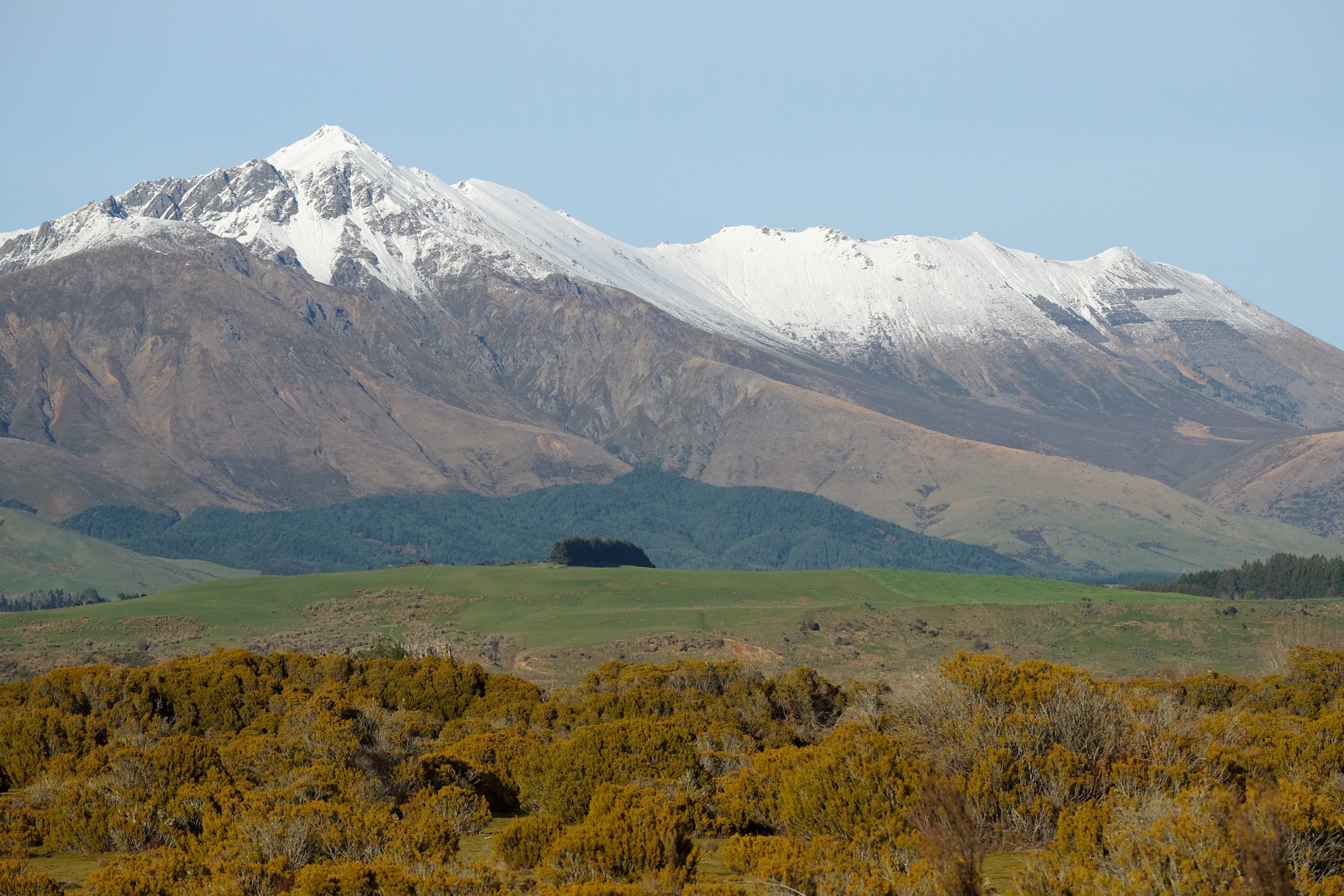 View across the Wilderness Reserve tussock toward Excelsor Peak in the Takitimu Mountains, Southland, New Zealand