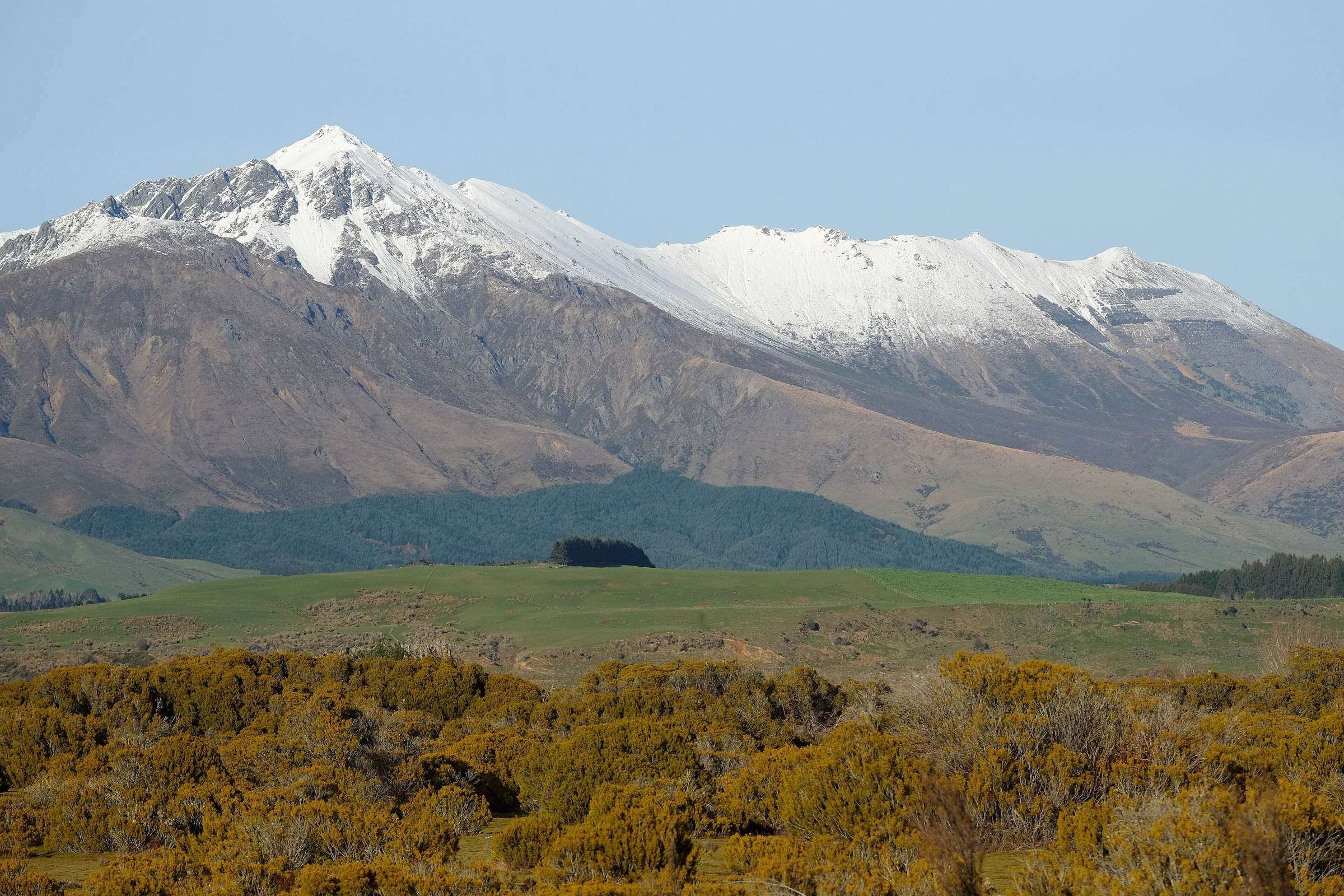 Snow-covered Takitimu Mountains seen from Wilderness Reserve, Southland