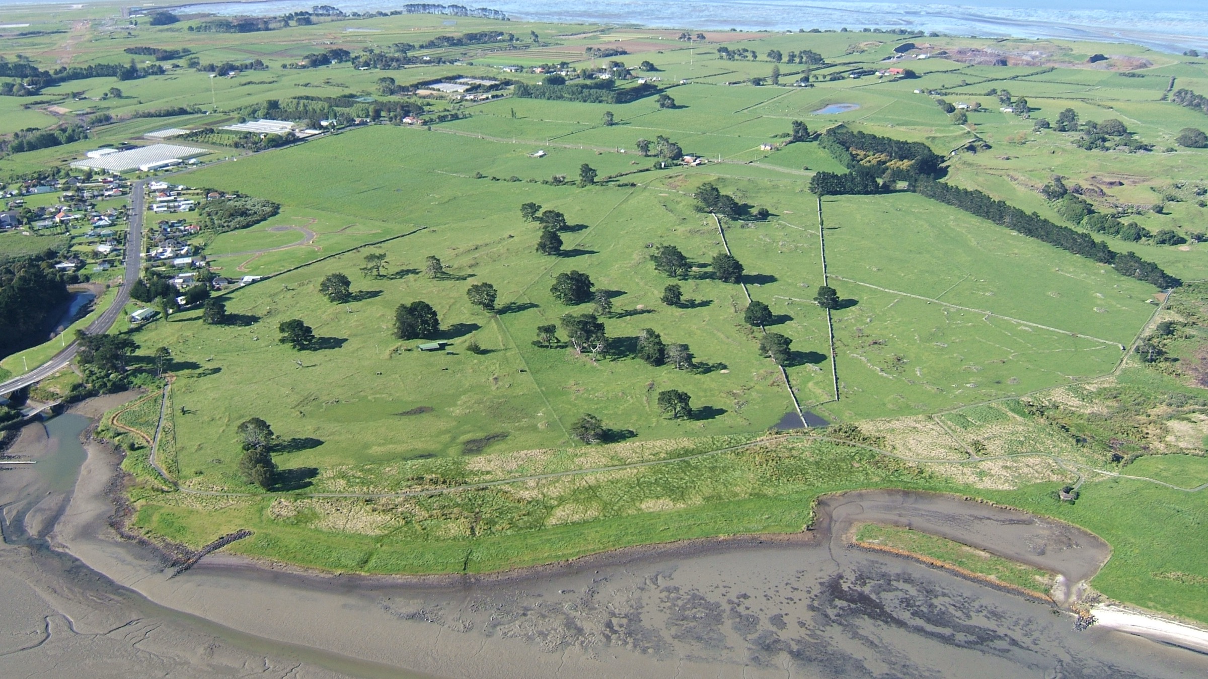 Pukeiti rainforest and gardens on the Kaitake/Pouākai saddle