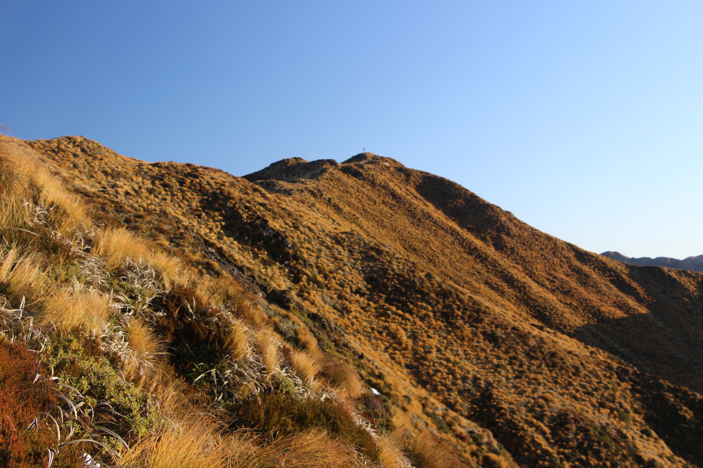 New Zealand — Central Tararuas: essential day-hikes
