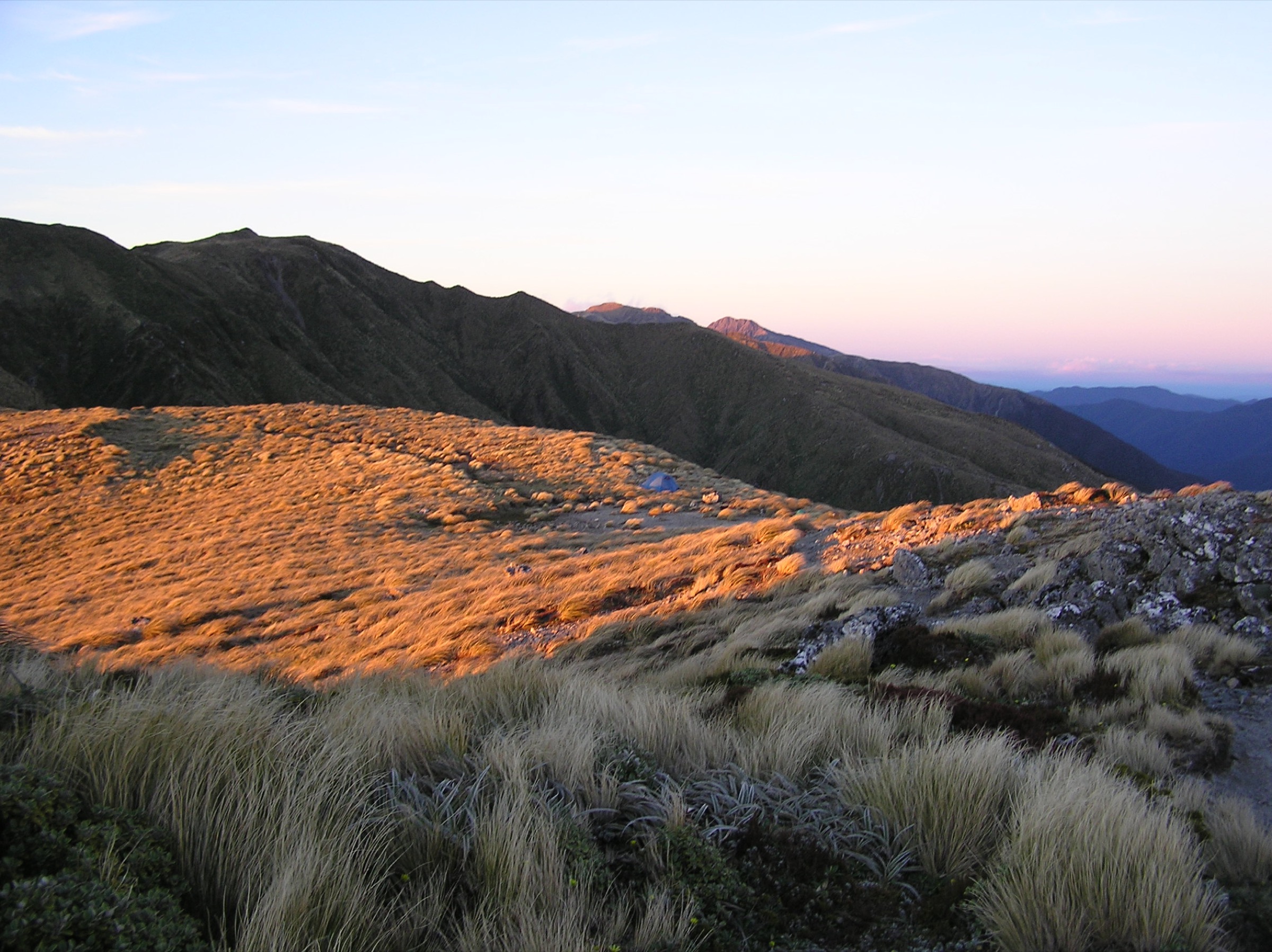 View from the Mount Holdsworth summit ridge across the central Tararuas