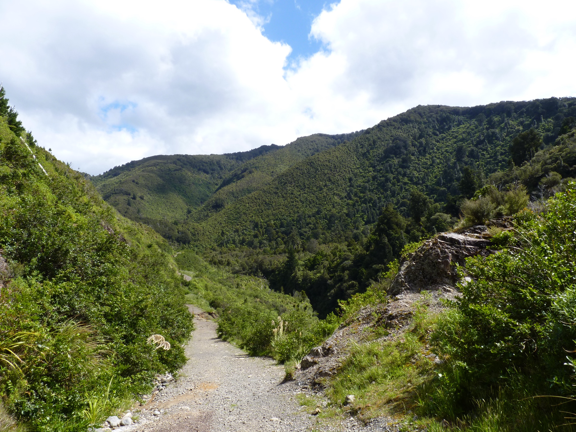The Waiohine River in Waiohine Gorge below the Tararua Range