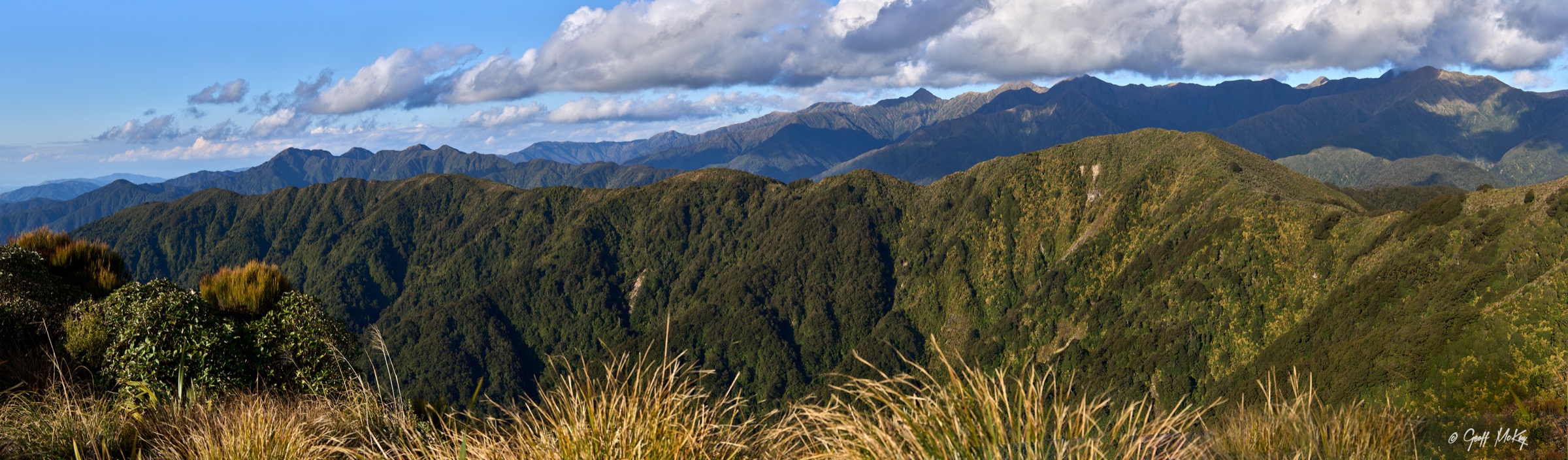 New Zealand — Northern Tararuas: essential day-hikes