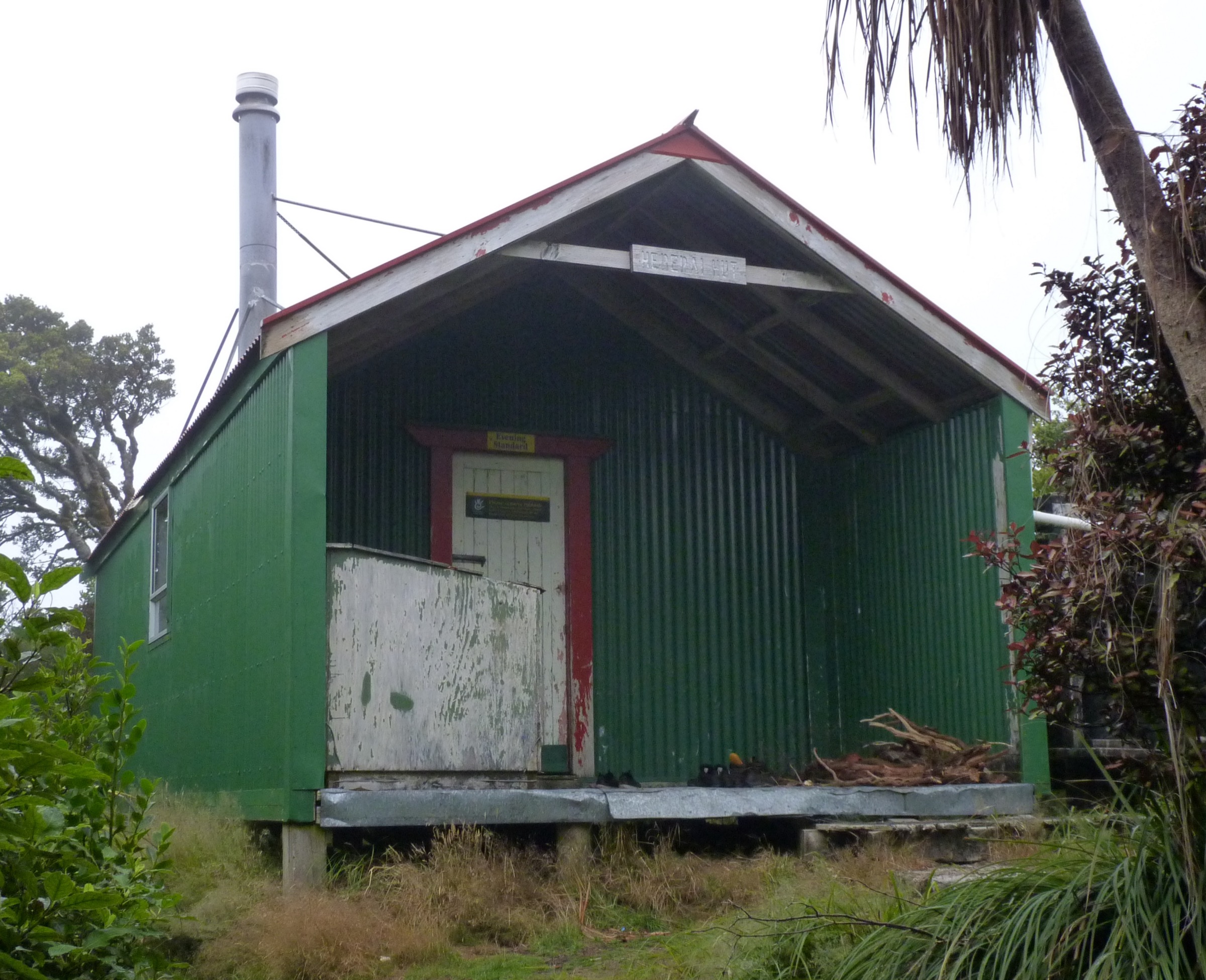 Track to Herepai Hut through northern Tararua forest