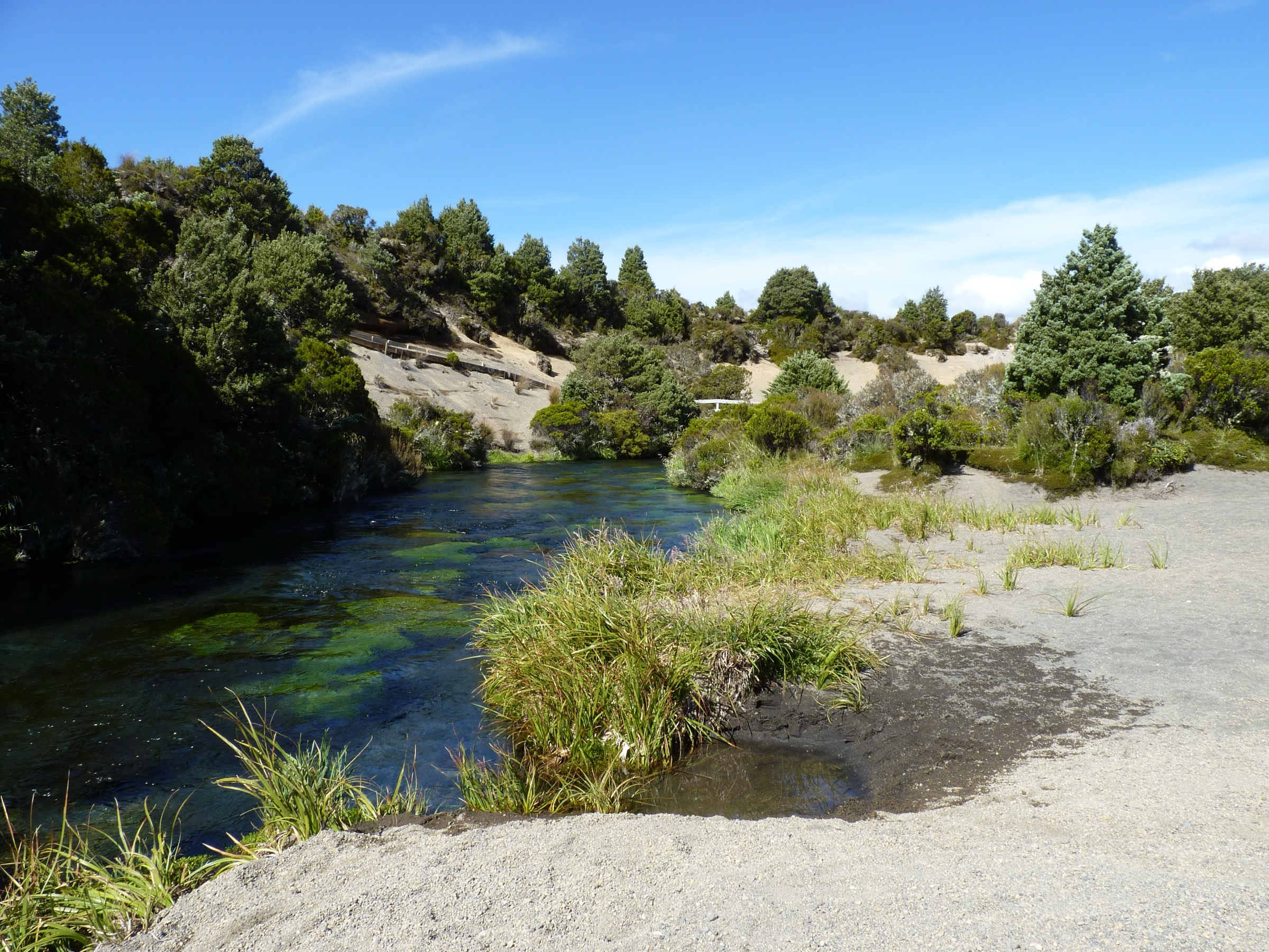 Ohinepango Springs bubbling from beneath an old lava flow, Tongariro National Park