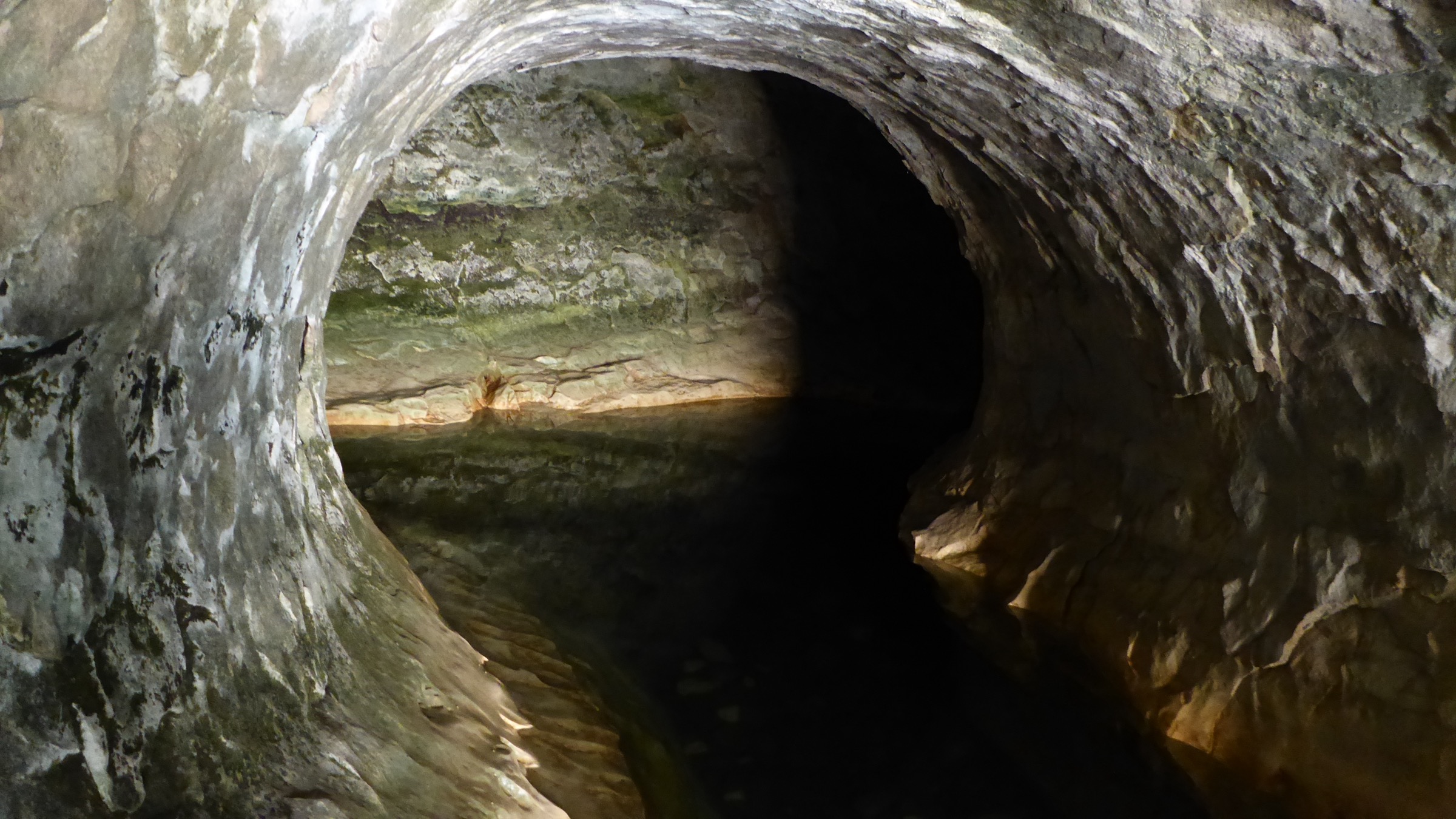 The lower entrance of Cave Stream where the stream emerges from its 594 m underground passage, Cave Stream Scenic Reserve, Canterbury