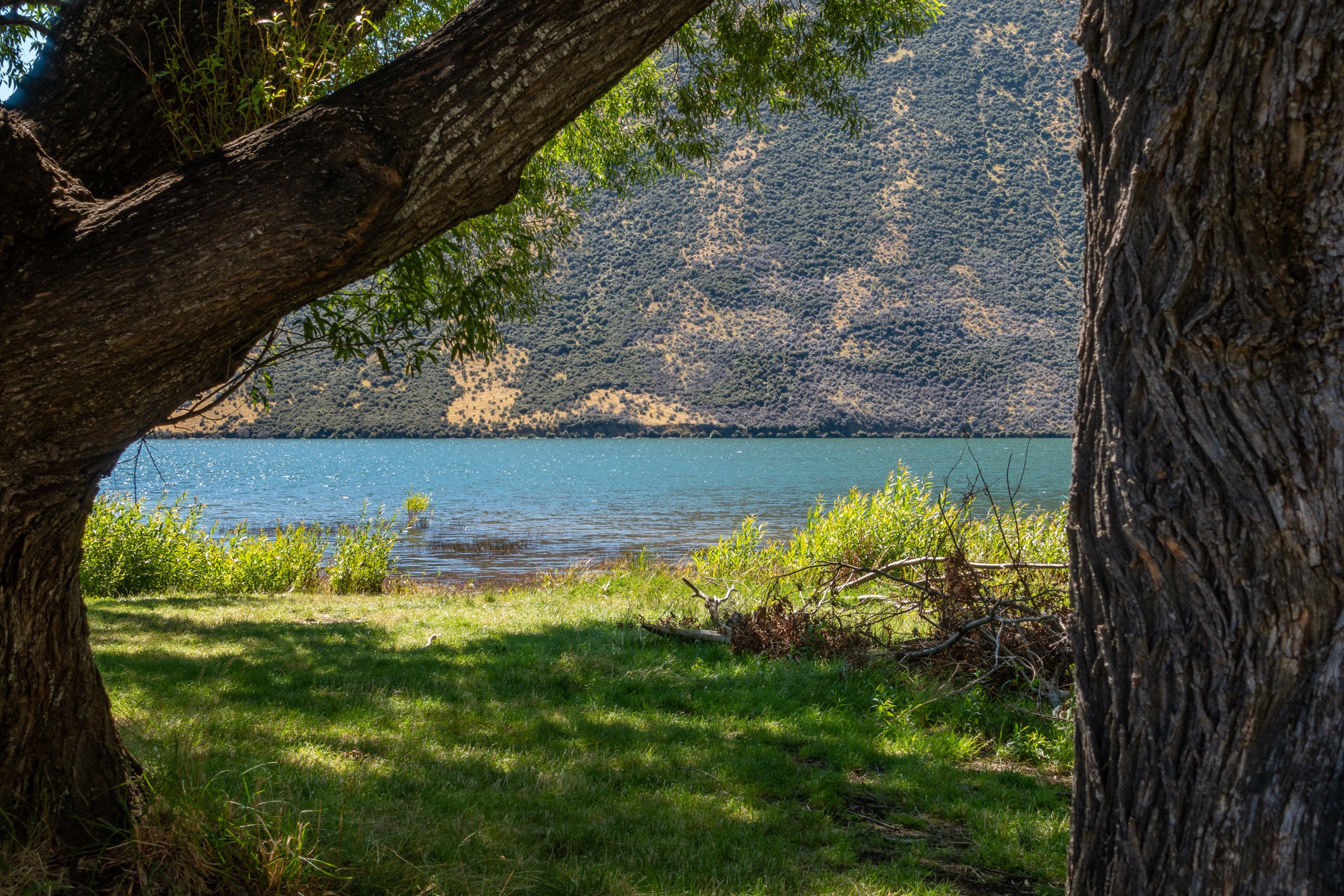 Wide shoreline view of Lake Pearson / Moana Rua, with surrounding tussock and the Craigieburn Range backdrop, Canterbury