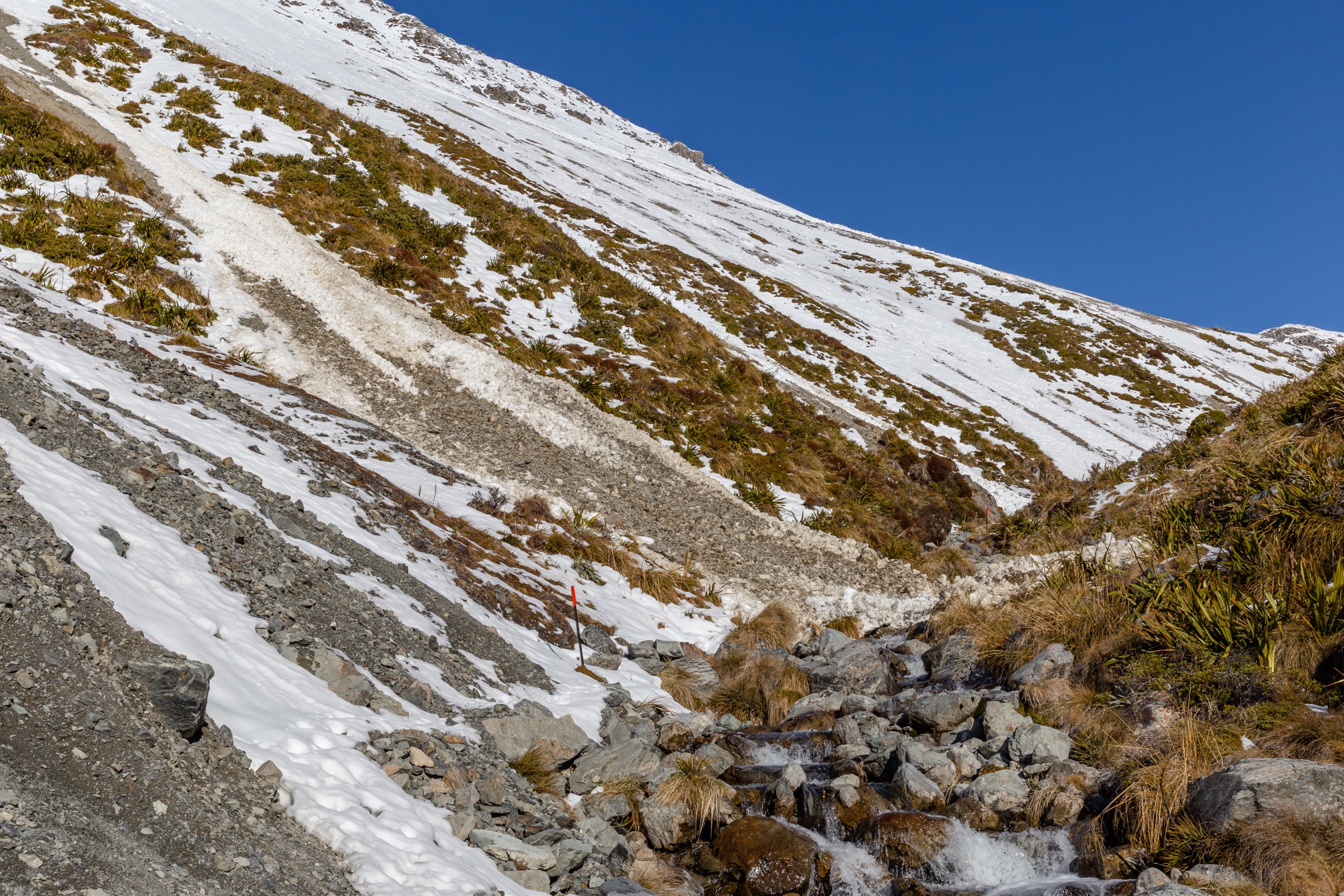 Speargrass Creek Route to Angelus Hut, Nelson Lakes National Park, New Zealand