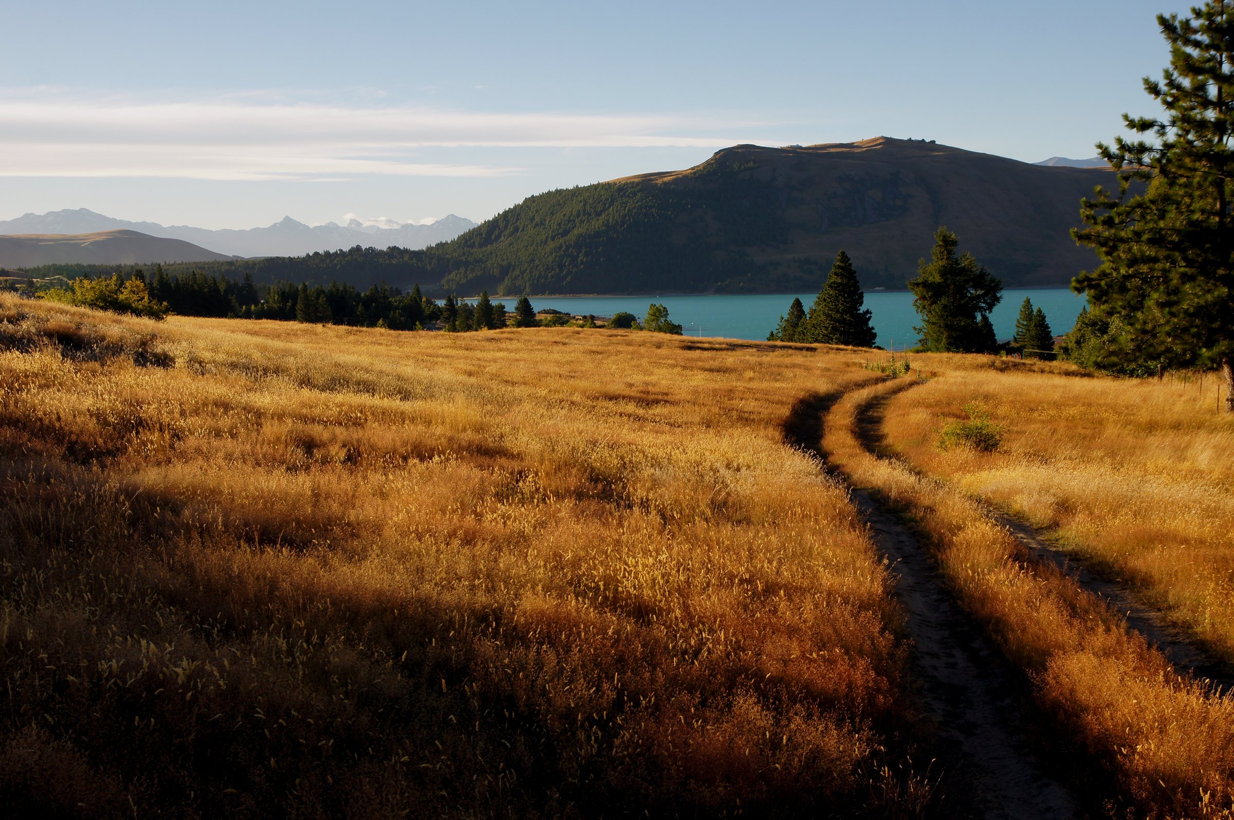 Lake Tekapo aerial view