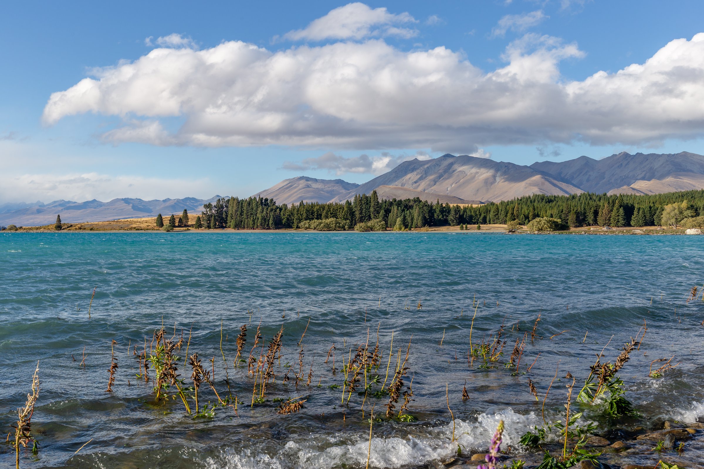Lake Tekapo, Mackenzie Basin, Canterbury
