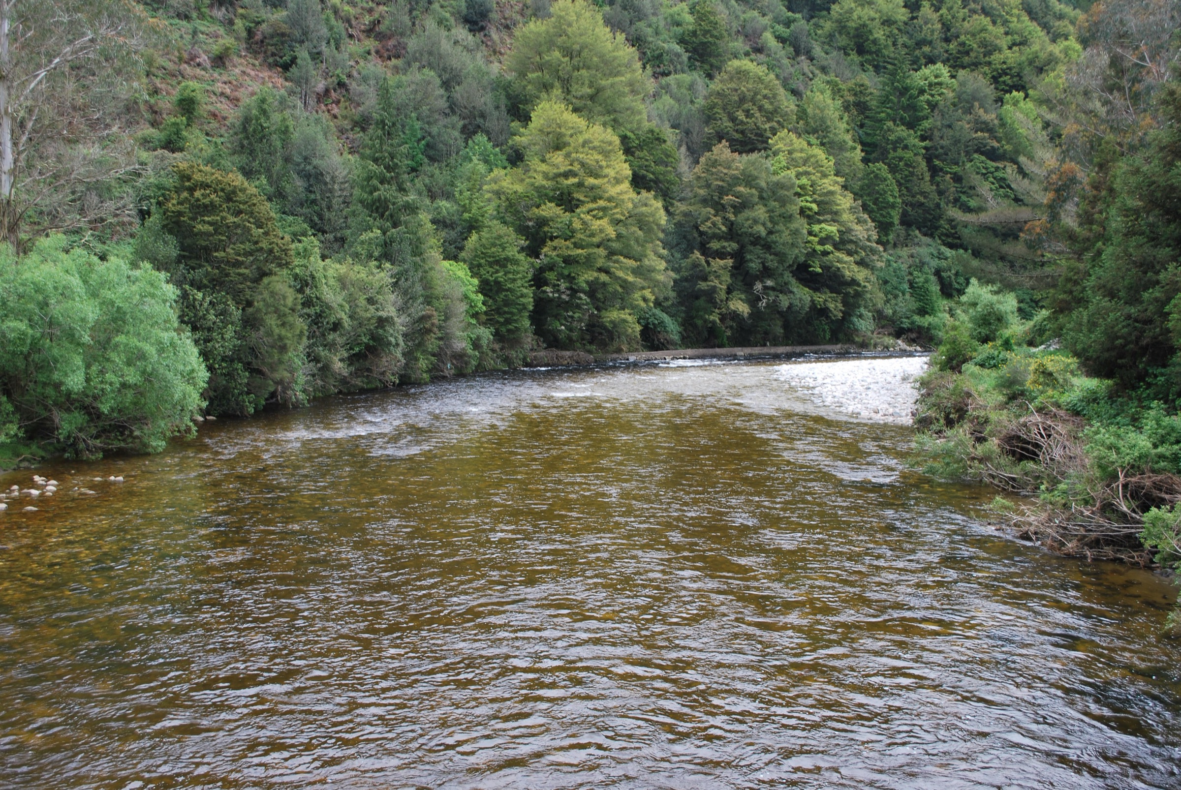 Inangahua River at Blacks Point near Reefton, the Murray Creek Track trailhead area
