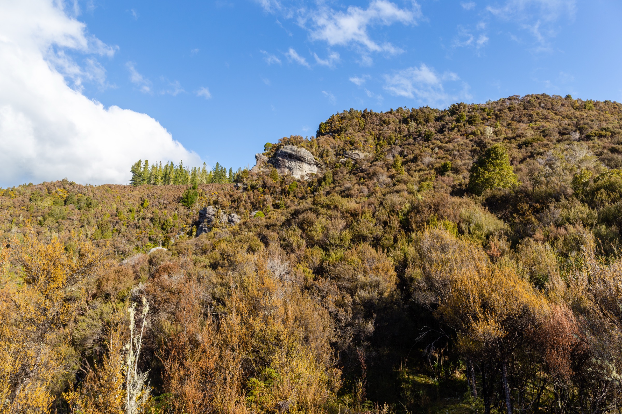 New Zealand — Southern Victoria Range: essential day-hikes