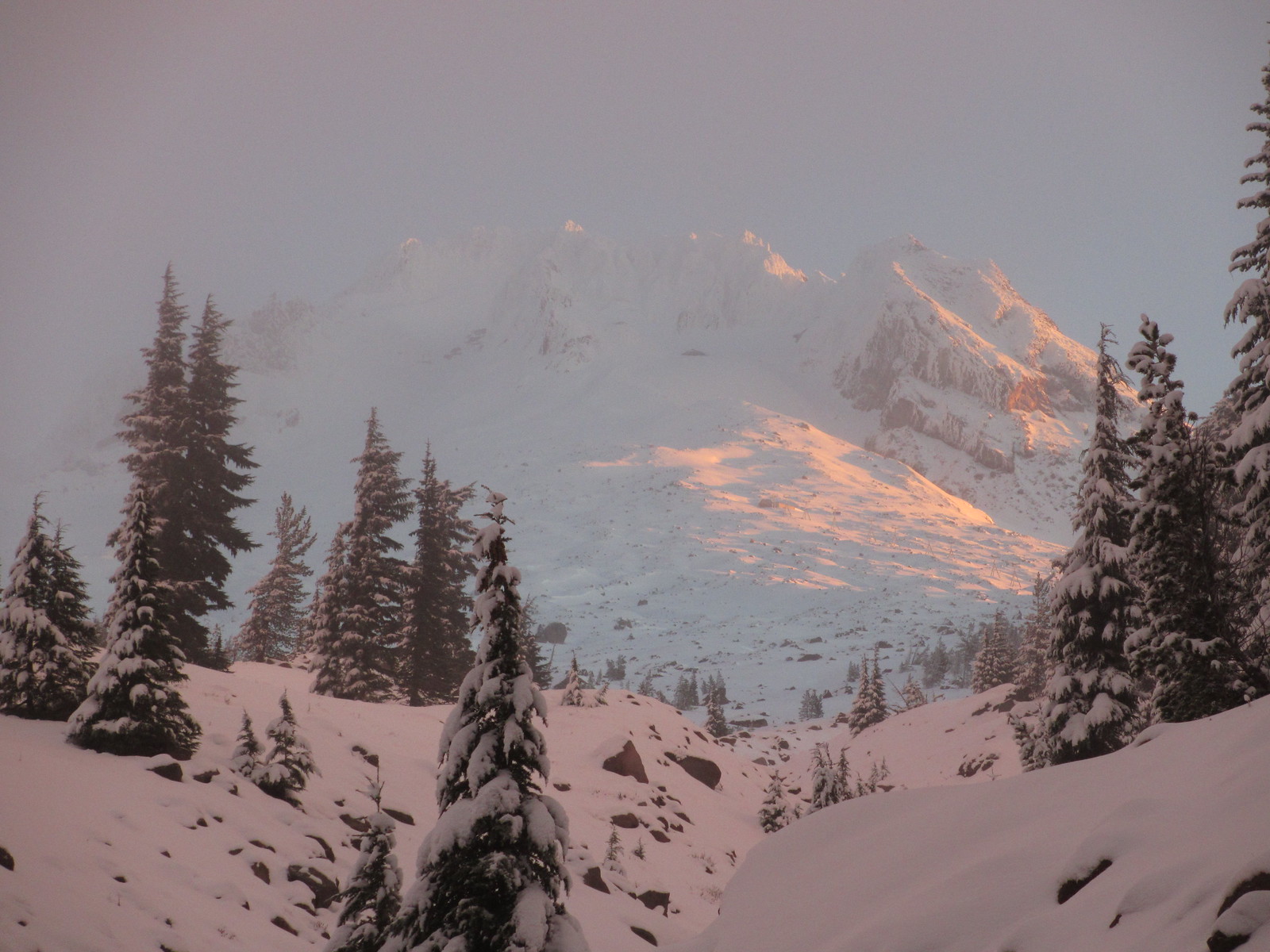 Mt. Hood catching sunrise light from the PCT north of Timberline