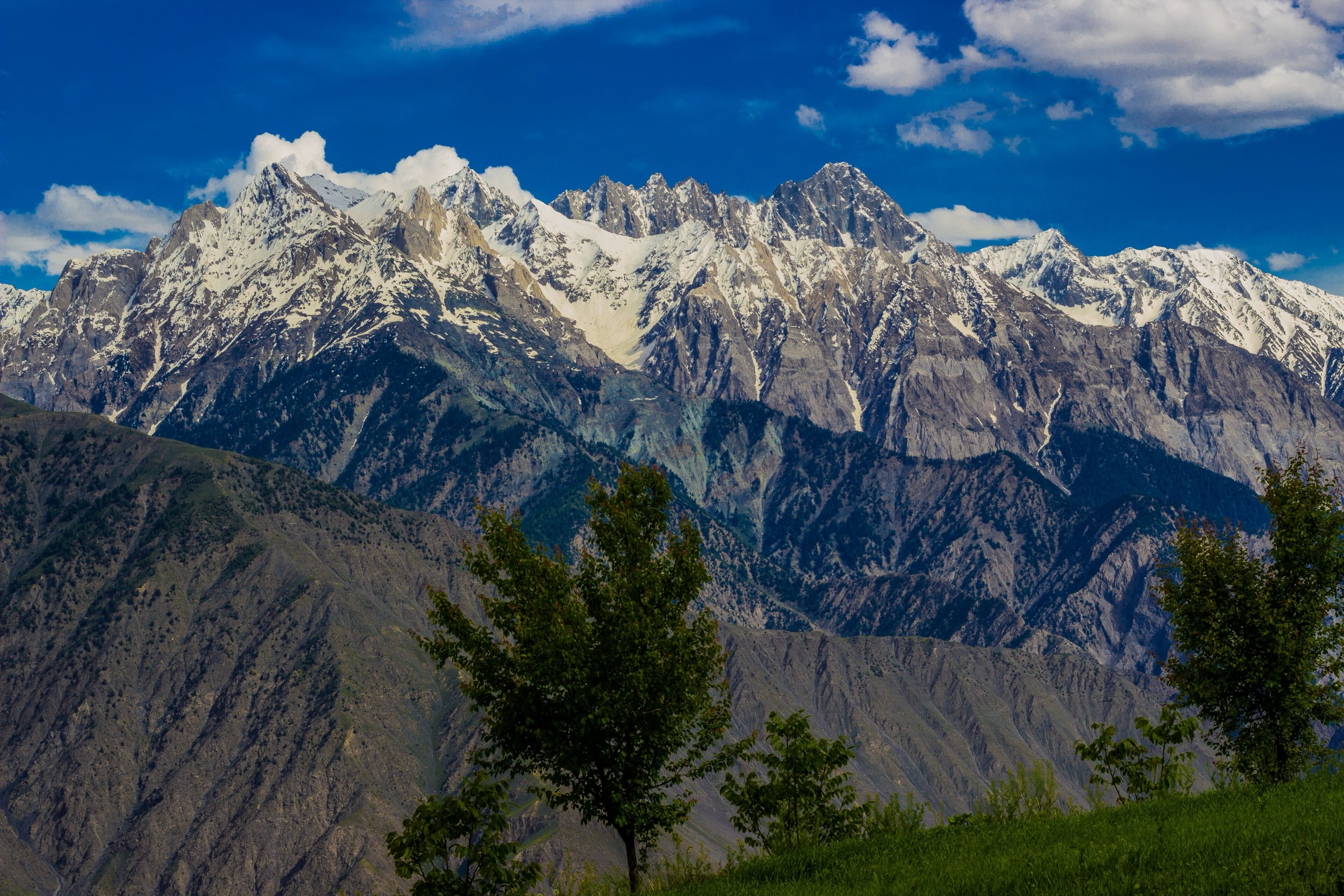 Chitral Gol National Park, Chitral
