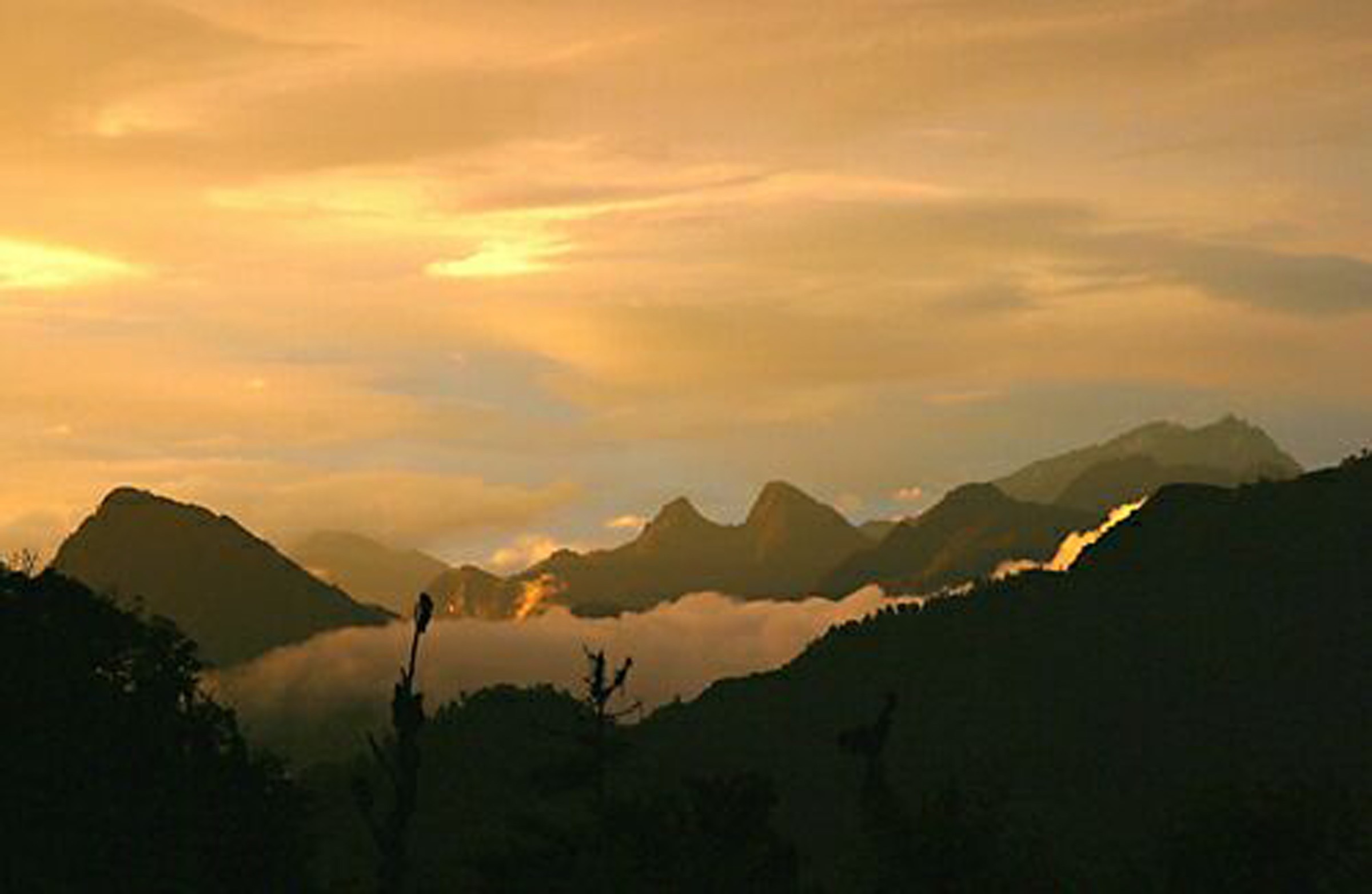 Papua New Guinea / Indonesia — New Guinea Highlands
