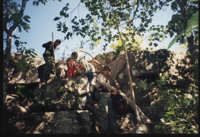 Paraguay — Uruguayan and Paraguayan Highlands / Amambay and Mbaracayú Ranges