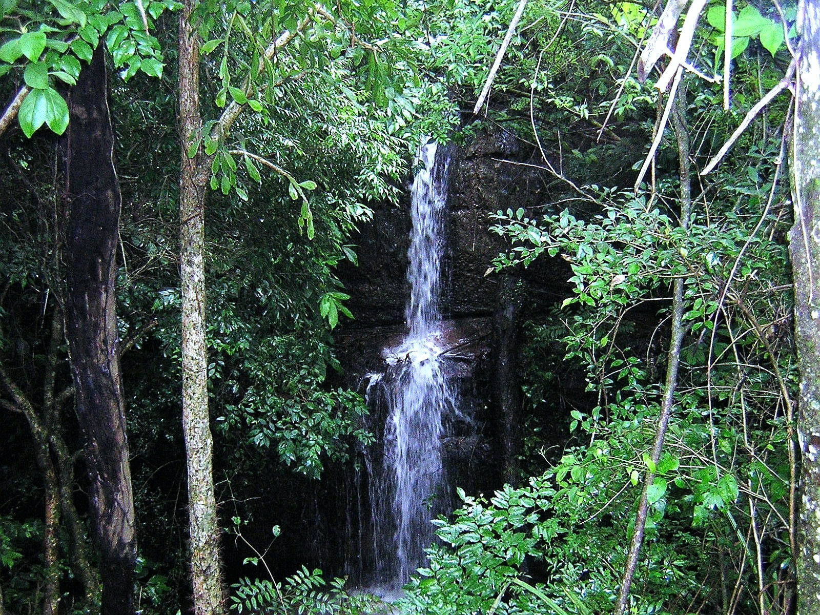 Salto Piroy waterfall, Ecoreserva Mbatoví, Paraguay