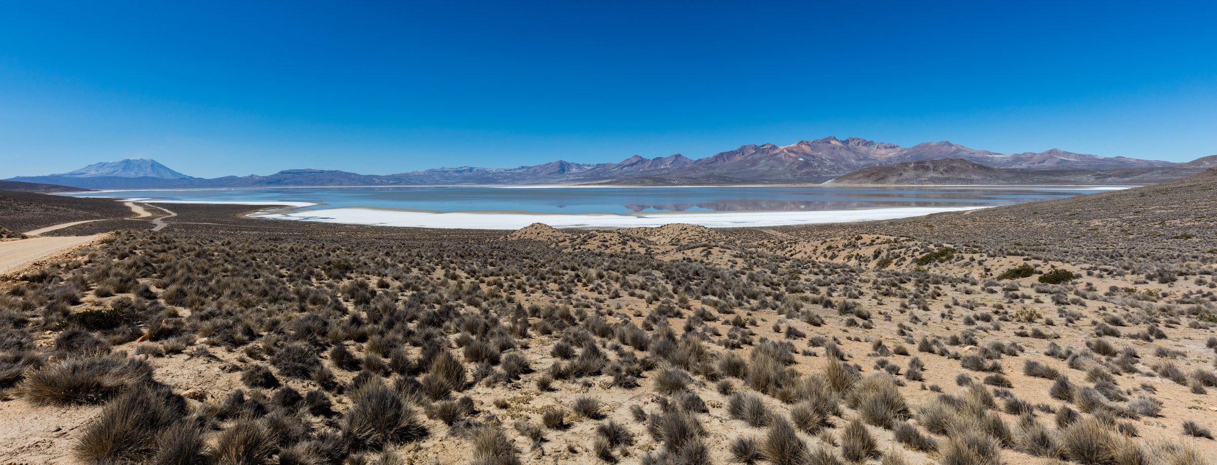 Laguna de Salinas, Arequipa, Peru