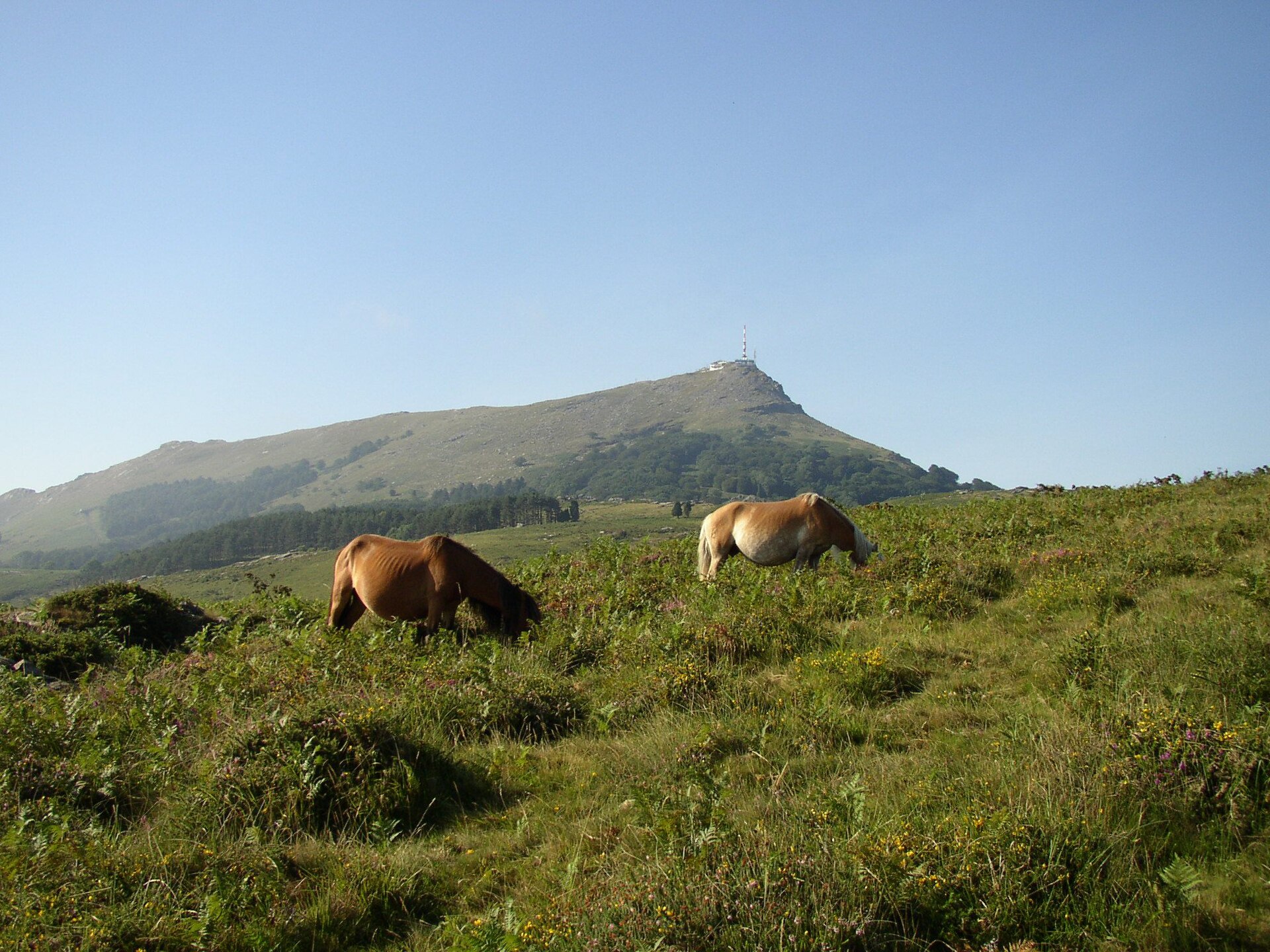 La Rhune / Larrun summit ridge