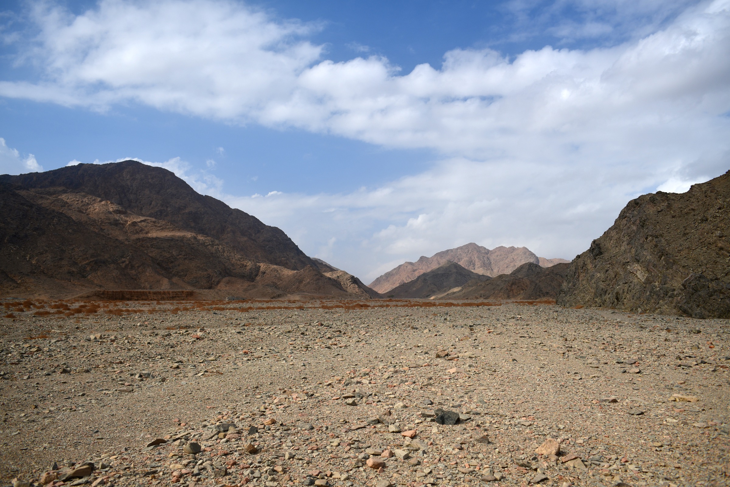 Red Sea Hills — Egypt, Sudan and Eritrea: Essential Day-Hikes