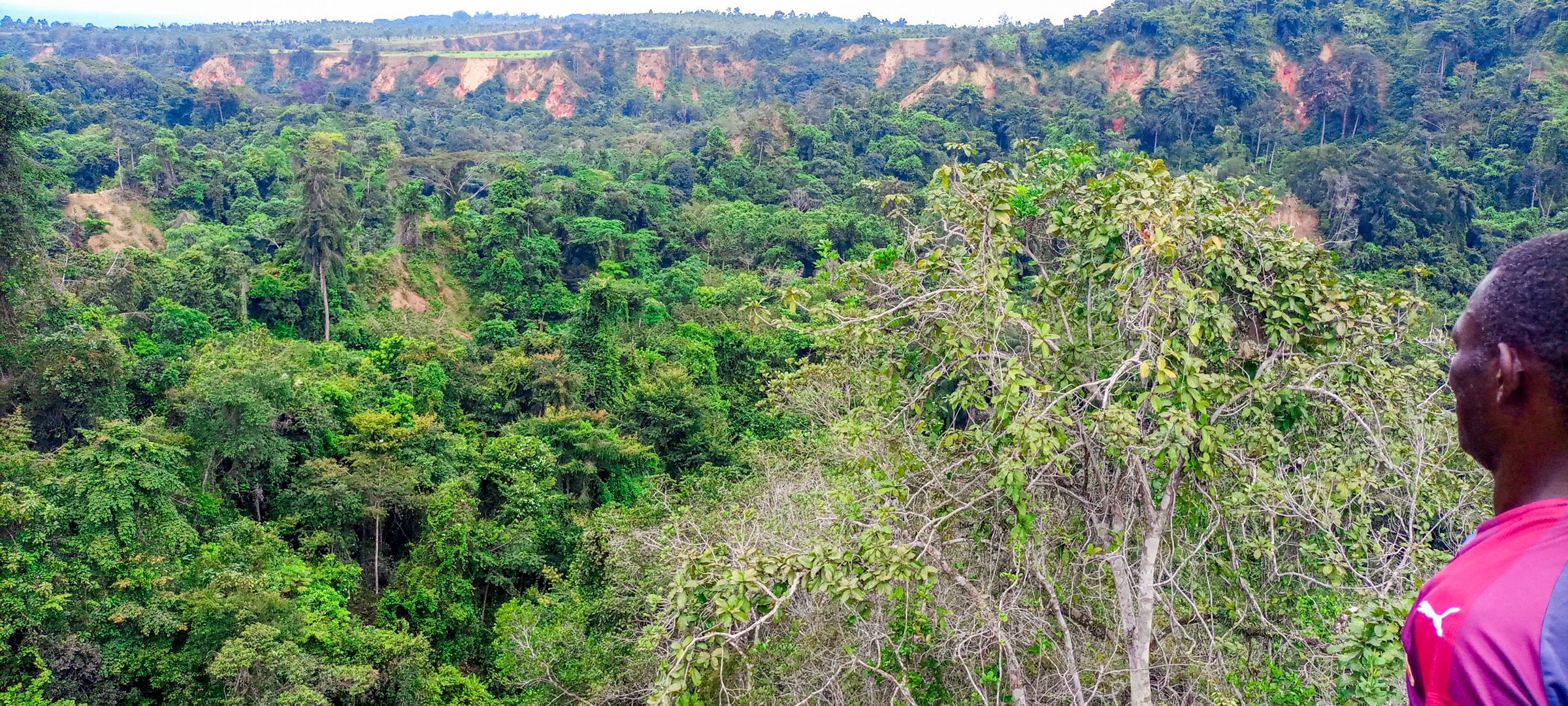 Congo / DRC / Angola — Mayombe Mountains: Essential Day-Hikes