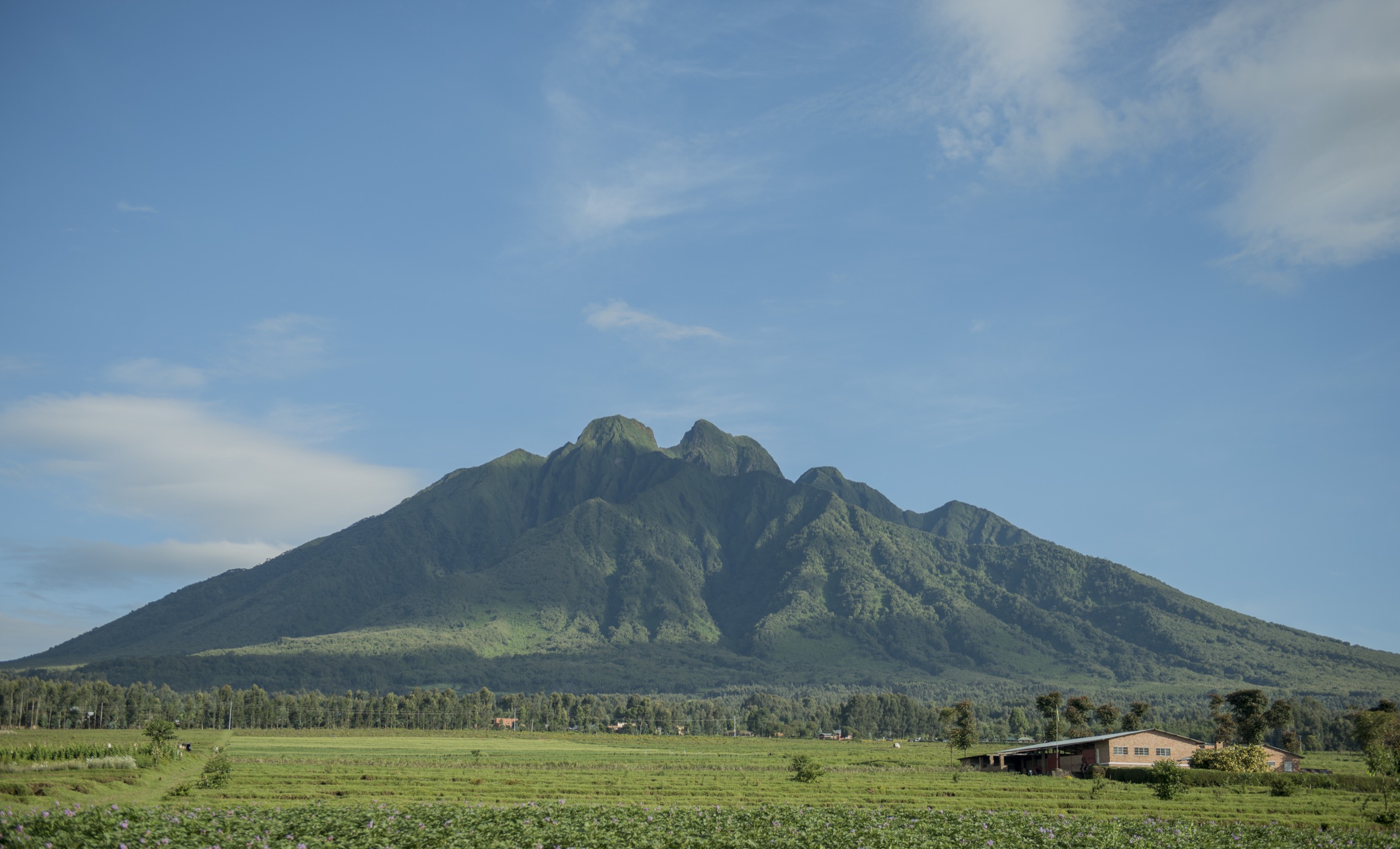 The serrated three-peak ridge of Mount Sabyinyo on the Rwanda-Uganda-DRC tripoint