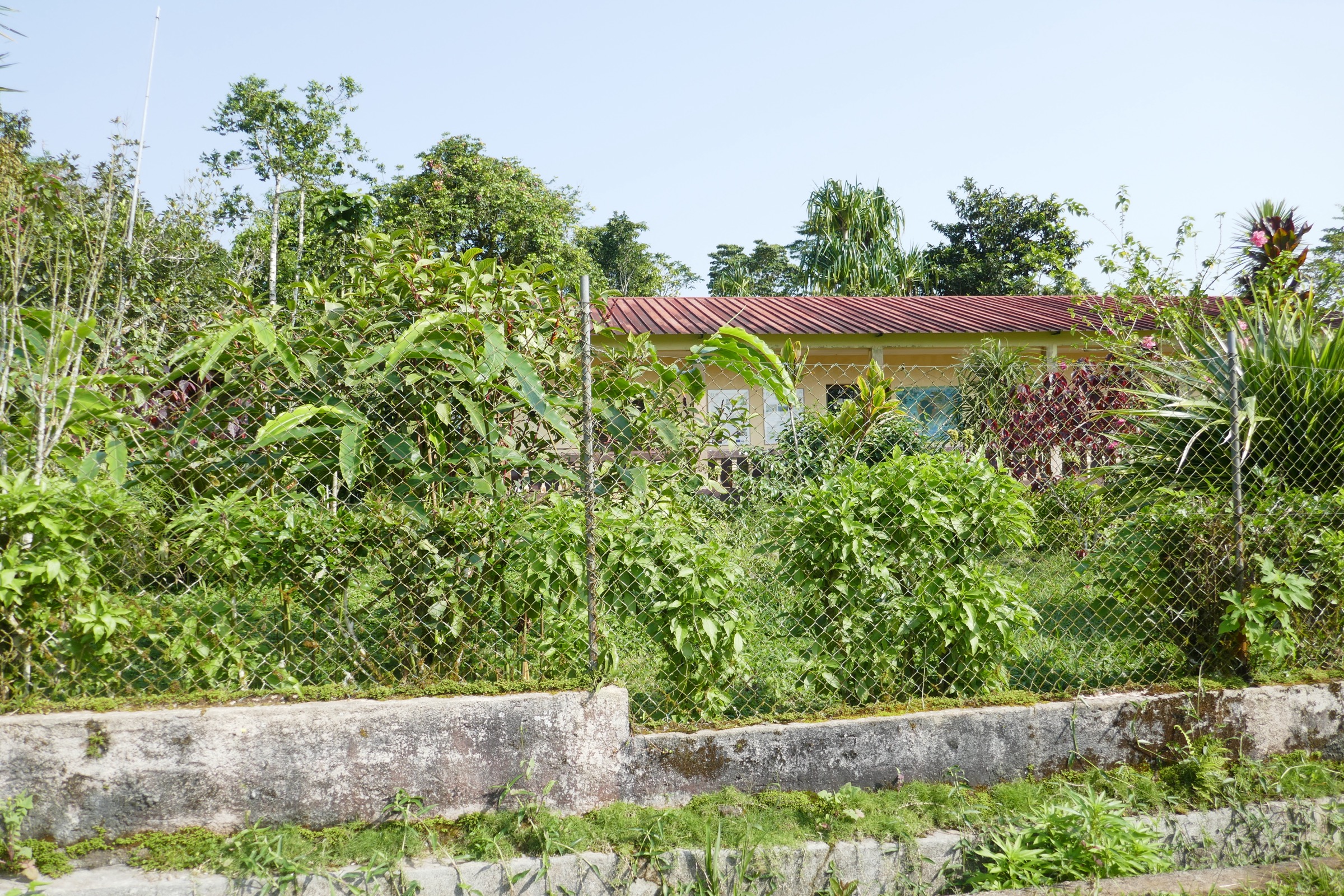 Bom Sucesso botanical garden and park headquarters in the central highlands of São Tomé