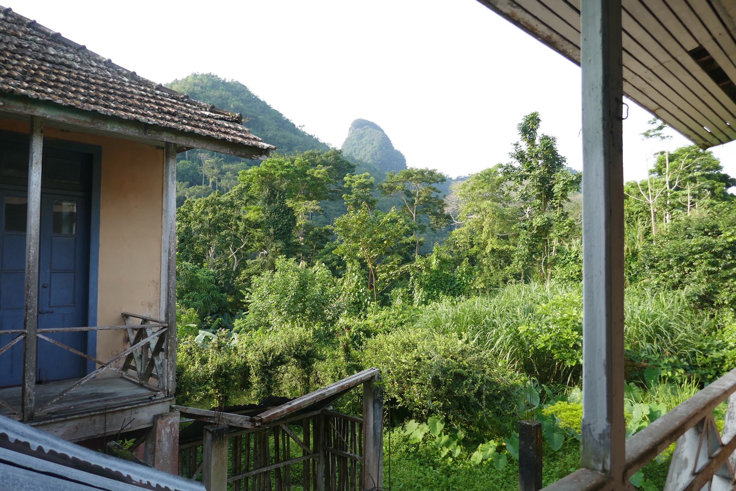 Forested ridges of central São Tomé seen from the Pousada at Roça Bombaim