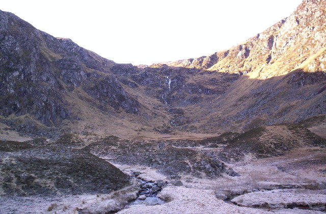 Corrie Fee