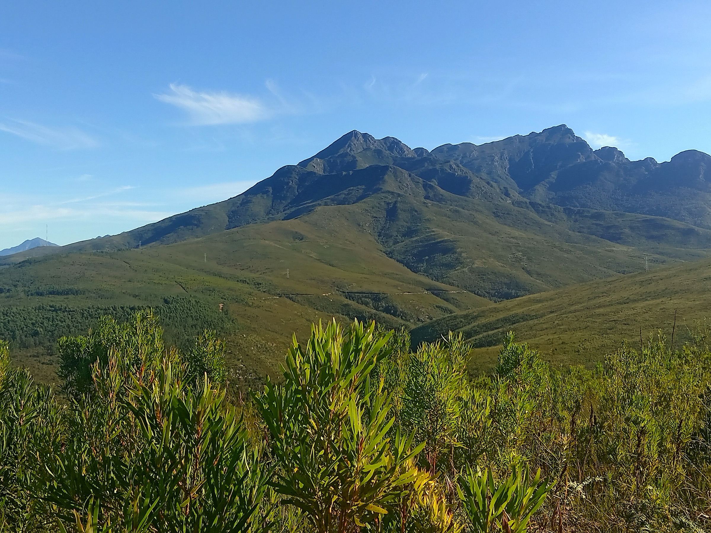 George Peak and Cradock Peak seen from Tierkop, Outeniqua Mountains