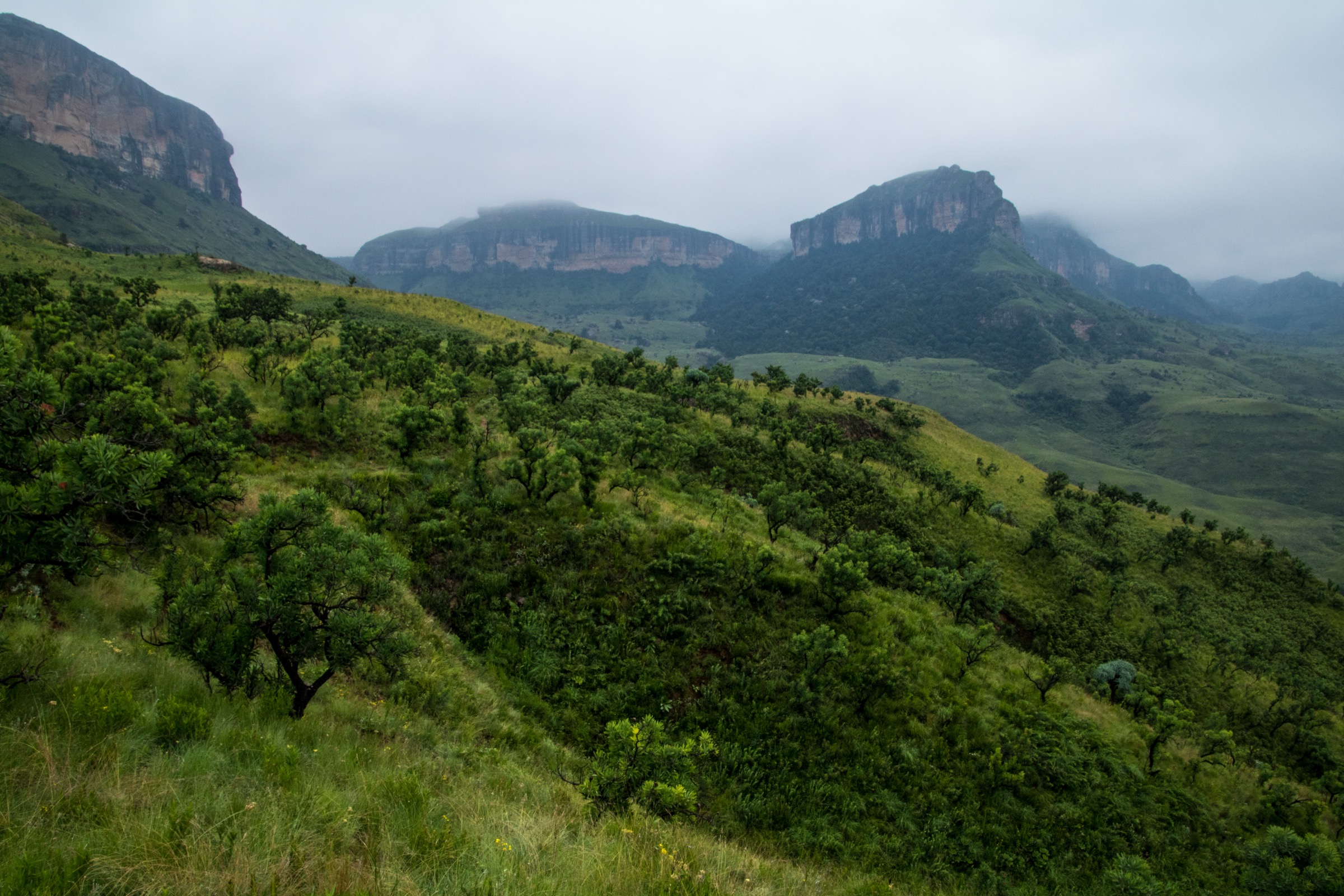 Mountains at Royal Natal National Park