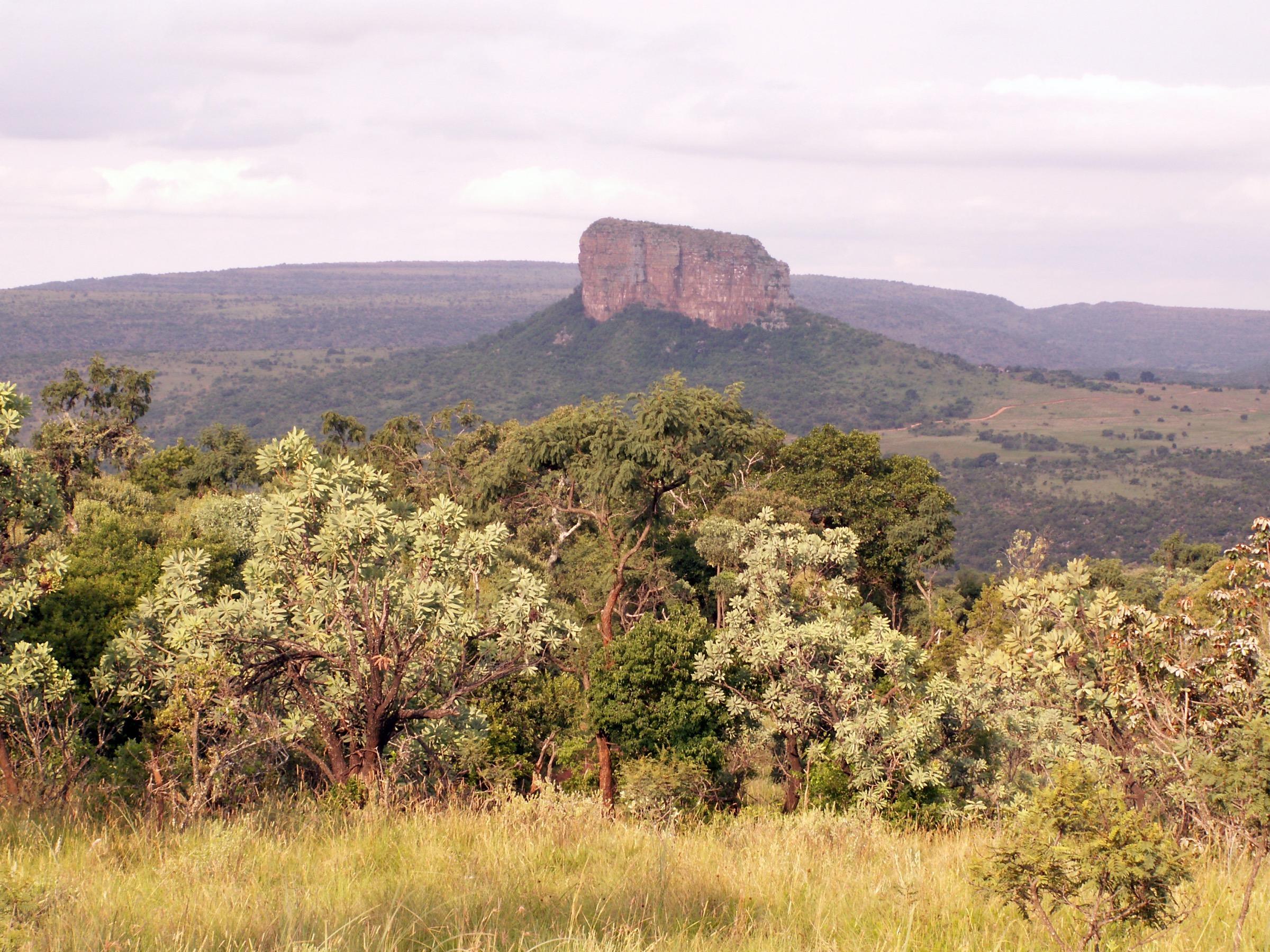 Waterberg landscape, Limpopo