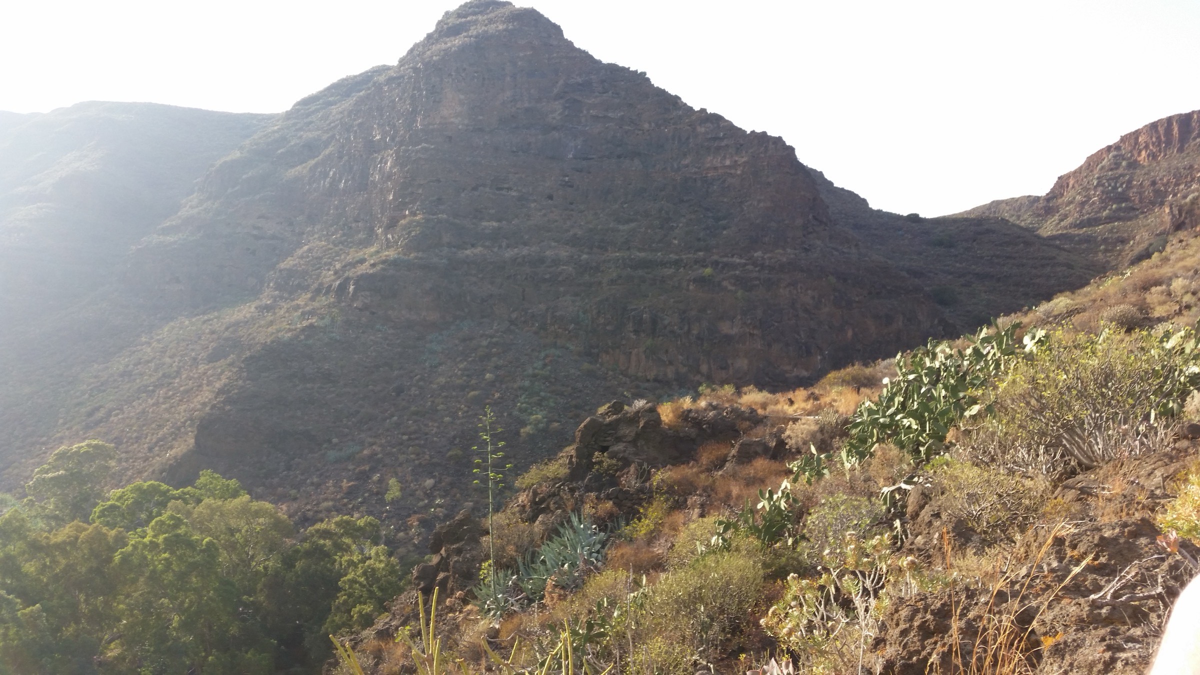 Barranco de Guayadeque, Gran Canaria