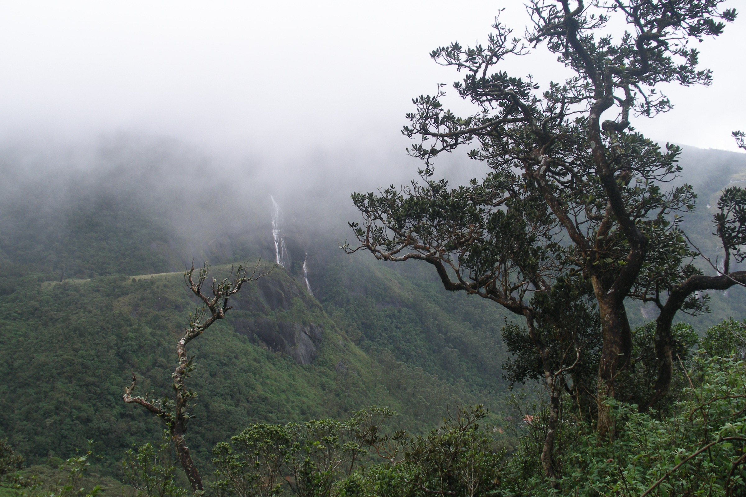Sri Lanka — Sri Lankan Central Highlands